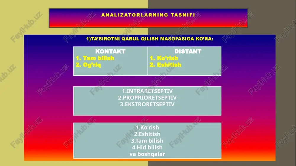zmi eshitish mexanizmi tashqi tomondan kelgan 16-20 000gts tovush quloq suprasi orqali quloq pardasiga, bolg’acha, sangdoncha , uzangicha orqali chig’anoqning oval teshigiga o’tkazilib perelimfani tebratadi tebranish chig’anoq perelimfasi orqali a 2.5 marta aylanib chiqqaniga va qayta aylana teshikka uzatiladi.perilimfa kortev a’zoda mavjud bo’lgan endolimfani va tektoriya membranasini membrana orqali qimirlatadi va retseptorning qo’zg’alishini ta’minlaydi. tebranishga nisbatan impuls xosil bo’lib, speral tugancha uzatiladi va o’z navbatida eshitish nervi orqali eshitish markaziga uzatiladi tovush shakli aniqlanadi. vestibulyar analizatorlarning fiziologiyasi muvozanat mehanizmi yarim oysimon kanalchalar bosh 85 gradusga oldinga egilganda hammasi faoliyatda bo’ladi.- sagital, frontal, gorizontal. muvozanat o’zgarganda bu yerdagi perelimfa xarakatga keladi va atalit aparatini qo’zg’aydi va impuls sakkizinchi juft nerv orqali uzunchoq miyaga, miya ustuni yadrolariga po’stloq qismiga va miyachaga uzatiladi va taasurotna nisbatan muvozanat reaktivligi ta’minlanadi. –chapga og’sa chap oyoq tonusi oshib, o’ng tomon bo’shashadi. xamma vaqt limfa oqimi yo’nalishiga qarshi reaktivlik ostida. xid bilish analizatorining fiziologiyasi xid bilish retseptorlarining …