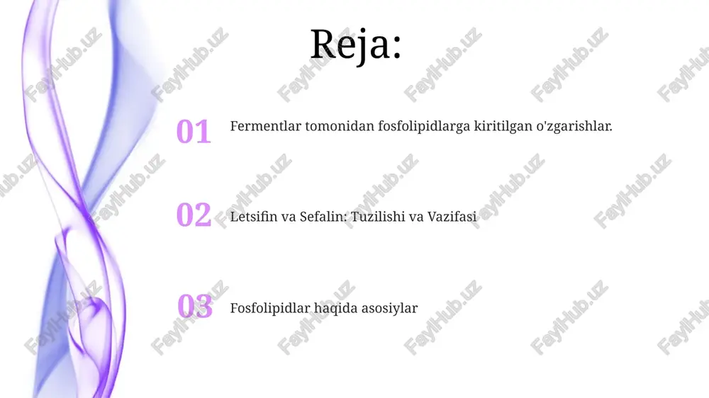 fosfolipidlar va fermentlar - Page 2