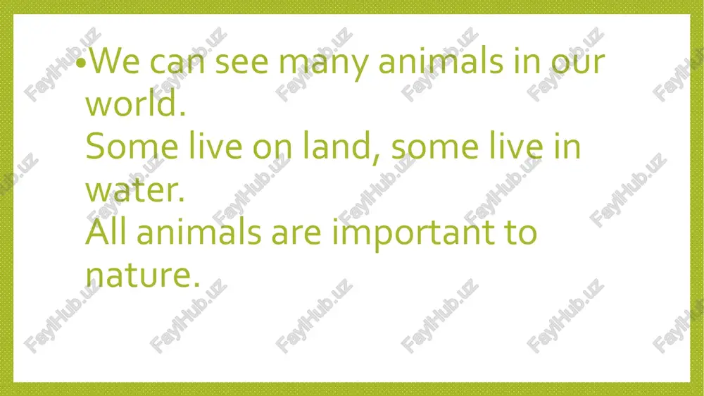 animals - Page 2