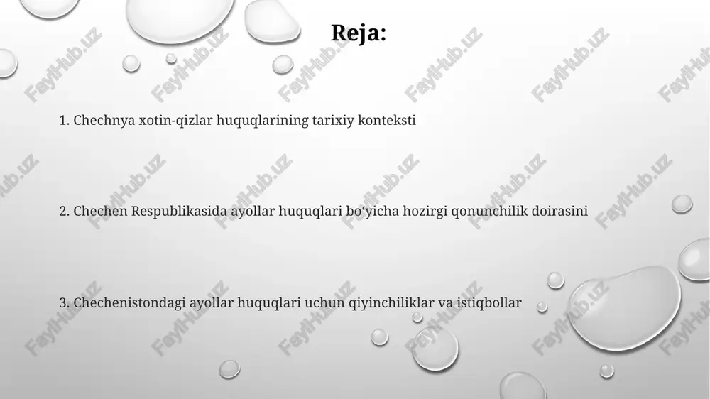 yuridik asoslari rossiya federatsiyasi konstitutsiyasi kabi rossiya federal qonunlariga asoslangan. bu qonunlar ayol kishiga hayotning barcha sohalarida, jumladan ta'lim, ish va siyosiy ishtirok etishda teng huquq va imkoniyatlarni kafolatlaydi. lekin, bu qonunlar amalda to'liq bajarilmayotgani va chechenistonda ayollar hali ham kamsitish va zo'ravonlikka duch kelayotgani haqida tashvishlar mavjud. himoya va faoliyat ayollar huquqlarini himoya qilish uchun samarali ishlaydigan mustaqil tashkilotlarning etishmasligi. chechenistonda ayollar huquqlari himoyachilari uchun cheklangan huquqiy imkoniyatlar bor. xalqaro standartlar va taqqoslash ayollarni oilaviy zo'ravonlik va kamsitishdan himoya qilish bo'yicha qonuniy himoyaning yo'qligi haqida xavotirlar mavjud. chechen respublikasining ayollar huquqlari to'g'risidagi qonunchiligi ko'pincha xalqaro standartlarga javob bermaydi. chechen qonunchiligi, odatda ayollar huquqlari boʻyicha rossiya federal qonunchiligi bilan mos keladi, lekin amalga oshirish va madaniy me'yorlar qiyinchiliklar tugʻdiradi. zo'ravonlikni bartaraf etish va ayollar huquqlarini yaxshilash bo'yicha doimiy harakatlar amalga oshirilmoqda, ammo taraqqiyot sekin va vaziyat murakkabligicha qolmoqda. siyosiy ishtirok etish va vakillik oiladagi zo'ravonlik va kamsitishga qarshi huquqiy himoya …