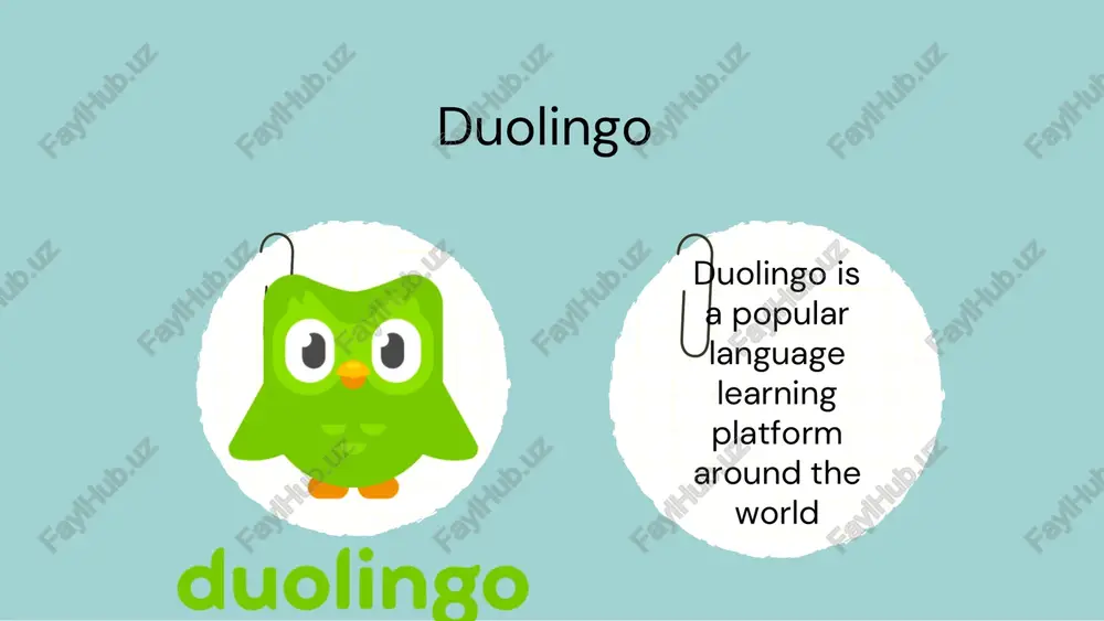 duolingo app - Page 2