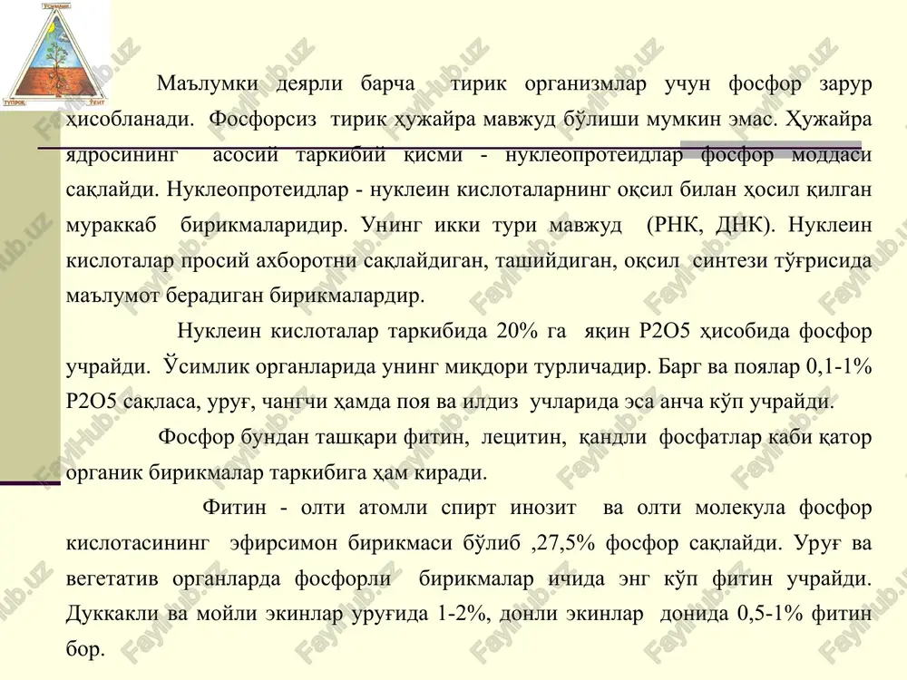 ik ushbu hosil bo'lgan zahirani barcha organlar bo'yicha qayta taqsimlaydi. o'suv davri boshida fosfor etishmasligini keyingi har qancha oziqlantirish bilan o'rnini bosib bo'lmaydi. bu holat ayniqsa g'o'za etishtirishda yaqqol namoyon bo'ladi. yirik ekinlarning urug'i (makkajo'xori, g'o'za) urug' endospermida ham fosfor zahirasi tezda tugaydi, bu davrda tuproqda harakatchan fosfor miqdori kam bo'lishi, maysalarning o'sishdan ortda qolishga, fosfor etishmasligi tashqi belgilari paydo bo'lishiga olib keladi. g'o'za chigitdagi fosfor zahirasini 10-20 kun mobaynida to'liq o'zlashtirib bo'ladi, makkajo'xori esa 14 kunda o'zlashtiradi. fosfor o'simlik o'sish va rivojlanishi mobaynida asosan tovar qismida ko'p to'planadi, bu jihat o'g'itlarni qo'llash tavsiyasida o'z ahamiyatiga ega. chunki ko'pchilik hollarda tovar mahsulot xo'jalik hududlaridan chetga olib ketilib, fosfor balansida salbiy rol o'ynaydi. bundan tashqari fosfor balansini hisobga olganda em-xashak ekinlari bilan xo'jalikdan chiqib ketgan fosfor miqdori, o'g'itdan foydalanish koeffitsienti ham hisobga olinadi. turli qishloq xo’jalik ekinlar hosili tarkibidagi fosfor miqdori, (%) № ekin turi doni somoni 1 kuzgi bug’doy 0,83 …