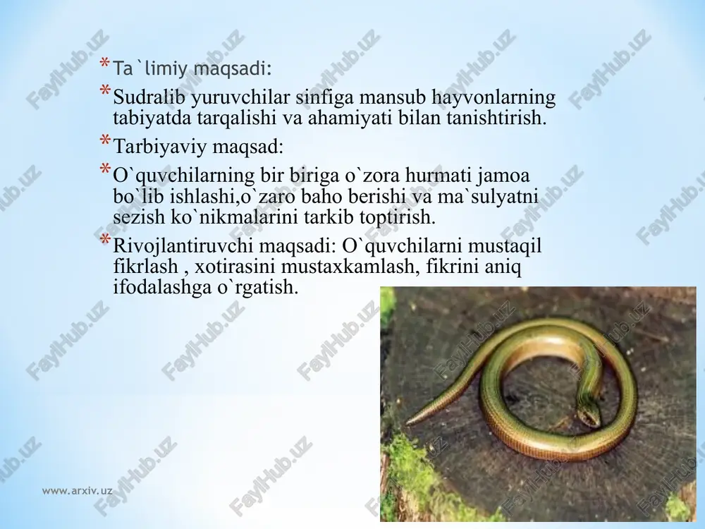 chib, tanasidan ancha yo'g'on bo'lgan o'ljasini butunligicha yuta oladi. ko'pchilik ilonlar o'ljasini tiriklayin yutadi. bo'g'ma ilonlar esa o'ljasini tanasi bilan o'rab olib, bo'g'ib o'ldirgandan so'ng yutib yuboradi. www.arxiv.uz www.arxiv.uz dars jihozi: kadaskop , tanlovlar uchun materiyallar, buklet , referatlar , darslik. dars tipi: aralash dars turi: noananaviy ko`llanadigan tehnologiyalar: “ muzyorar”, “klaster”, kollaj www.arxiv.uz www.arxiv.uz www.arxiv.uz www.arxiv.uz qizilqum, ustyurt va amudaryo qumloqlarida tanasining uzunligi 70 sm keladigan qum bo'g'mailoni tarqalgan. vu ilon zaharli emas. u kaltakesaklar, kemiruvchilar va mayda qushlar bilan oziqlanadi. o'ljasini boshqa ilonlar singari tanasi bilan o'rab olib, bo'g'ib o'ldir¬gandan so'ng yutib yuboradi. bu ilon tirik bola tug‘adi. o'zbekistonning hamma suv havzalarida suv ilon uchraydi. u turli mayda baliqlar va baqalar bilan oziqlanadi. baliqchilik xo'jaliklarida ilon birmuncha ziyon keltirishi mumkin. vohalardagi jarliklar, tashlandiq eski binolar, molxonalar, hatto xonadonlarda chipor ilon tez-tez uchrab turadi. chipor ilon turli qushiar va ulaming jo‘jalari, kemiruvchilar va kaltakesaklar bilan oziqlanadi. www.arxiv.uz www.arxiv.uz o'rta …