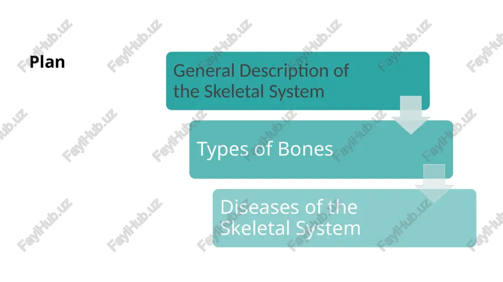 provide stability with little movement 📍 examples: carpals (wrist bones) tarsals (ankle bones) types of bone flat bones 🧠 function: protect internal organs and provide surface for muscle attachment 📍 examples: cranial bones (skull) sternum (breastbone) irregular bones 🧠 function: have complex shapes to protect organs or support body structure 📍 examples: vertebrae (spine) sacrum sesamoid bones 🧠 function: protect tendons from stress and wear 📍 examples: patella (kneecap) — the most well-known sesamoid bone diseases of the skeletal system osteoporosis a condition where bones become weak and brittle due to loss of bone density. common in older adults, especially postmenopausal women. osteoarthritis a degenerative joint disease where the cartilage between bones wears down, causing pain and stiffness. often affects knees, hips, and hands. rheumatoid arthritis an autoimmune disease that causes inflammation of the joints, leading to pain, swelling, and potential joint deformity diseases of the skeletal system fractures breaks …