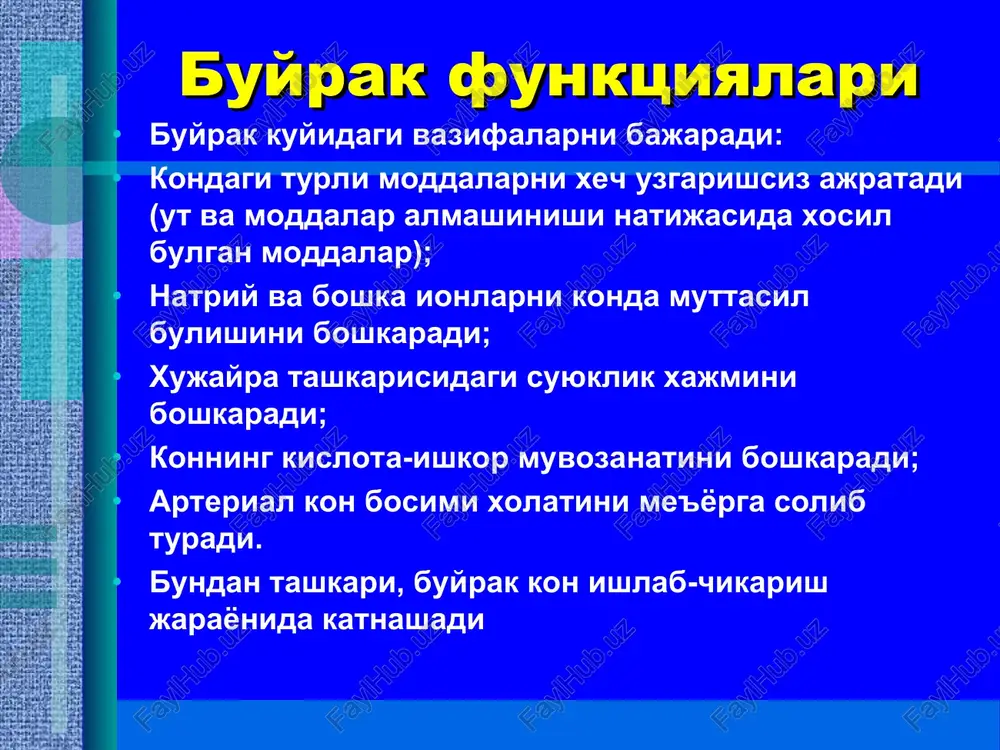 i fakat pastga tushgan va kattalashgan paytidaligida paypaslash mumkin. (1,5-2 barobar kattalashsa). nefroptoz i-darajada buyrakni fakat pastki kismi yoki 3/1 ni paypaslash mumkin. ii-buyrakni butunligini paypaslash mumkin. iii-darajada buyrak korin bushligining ikkinchi yarmiga surib kurish oson buladi. perkussiya buyraklarni tekshirish uchun buyraklar soxasini urib kurish yuli bilan perkussiya kilinadi. agar urib kurilganda ogrik paydo bulsa bunga avtor buyicha pasternatskiyni musbat simptomi deb ataladi. siydikni fizik tekshirish avval siydik rangiga e'tibor beriladi. normada somon rangiga uxshaydi. solishtirma ogirligini e'tibor beriladi. normada = 1015-1017 tashkil etadi. u urometrda aniklanadi. tinikligi – tinik normada siydikni xidi – atseton xidi, va x.k. siydikni ximiyaviy tekshirish siydik reaktsiyasi kislotali, neytral va me'yoriy bulishi mumkin. kislotali bulsa kuk lakmus kizaradi, kizil kogoz uzgarmaydi. normada siydikda oksil bulmaydi. siydikda pn = 5 dan 7 gacha buladi. siydikdagi oksil sifat va mikdoriy jixatdan tekshiriladi. siydik kuykumini mikroskopik tekshirilganda - ektopik xujayralari, leykotsitlar, eritrotsitlar, tsilindr, xar xil tuzlar borligini …