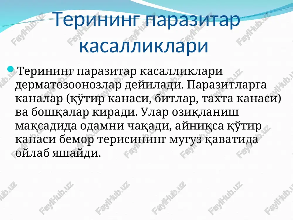 raydigan qon so'ruvchi ekzoparazitdir. xayvonlar biti odam uchun yuqumsizdir. odamlarda uchraydigan bitlar asosan bemor o'rin –ko'rpalari, kiyim –boshlari orqali o'tadi, va xo'jayinni qoni bilan oziqlanadi. bir kunda 0.3-0.5 ml gacha qon so'rishi mumkun. odamda bosh biti, kiyim biti chov biti uchraydi. bosh biti bosh biti to'g'ridan –to'g'ri odamdan uning bosh kiyimi va o'rin ko'rpasidan yuqadi. bosh biti odamda faqat sochli qisimda bo'ladi. urg'ochi bit o'zini 1-1.5 oy xayoti davomida 100 -150 tagacha sirka (tuxum) qo'yadi. va ular sochga maxkam yopishib oladi. davosi erkaklarni sochini olib tashlab, so'ngri 3% iliq sirka eritmasidan foydalaniladi. ayollar va sochi olinmagan bemorlar uchun kerasin va kungaboqar moyini teng miqdorda aralashtirib, 2-3 qavat dokaga shimdiriladi, so'ngra boshga yaxshilab o'raladi, ustidan pergament qog'oz qo'yilib, yana ro'mol bilan o'raladi. muolaja 2-3 kun o'tib, yana takrorlanadi. bundan tashqari sirkalarni o'ldirish uchun 20% benzilbenzoat eritmasidan foydalaniladi. kiyim biti asosan ichki va ustki kiyim burmalarida, aksariyat yoqa, kiyim –kechaklarni choklarida bo'lib, …