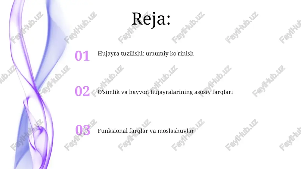 simlik hujayrasini shaklini saqlash, himoya qilish va turgor bosimini tartibga solish vazifalarini bajaradi, bu esa o'simlikning tik turishiga yordam beradi. xloroplastlar xloroplastlar fotosintez jarayonida quyosh energiyasini kimyoviy energiyaga aylantiradigan xlorofill pigmentini o'z ichiga olgan muhim organellalardir. o'simlik hujayralarida ko'p sonli xloroplastlar mavjud bo'lib, ular hujayra ichida har xil joylarda, odatda, sitoplazmada 2 dan 10 mikrometrgacha bo'lgan o'lchamda tarqalgan. xloroplastlar o'zlarining dnksiga ega va hujayra ichidagi boshqa organellalar bilan 1.5 milliard yil oldin sodir bo'lgan endosimbioz natijasida paydo bo'lgan deb ishoniladi. markaziy vakuol markaziy vakuol hujayradagi chiqindi moddalarni, suvni, ionlarni va pigmentlarni saqlaydi. bu hujayra ichidagi ph darajasini 5.5 atrofida saqlashga yordam beradi. markaziy vakuol o'simlik hujayrasining 30-80% hajmini egallashi mumkin, bu esa hujayra turgor bosimini saqlash orqali uning shaklini ta'minlashda muhim rol o'ynaydi. markaziy vakuolda hujayraning o'sishi davomida lizosomalarga o'xshash gidrolitik fermentlar saqlanadi, bu moddalar parchalanishi va qayta ishlatilishini ta'minlaydi. hayvon hujayralarida xloroplastlarning yo'qligi xloroplastlar ikki qavatli membranaga ega bo'lgan …