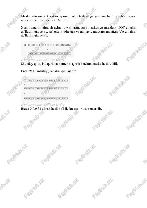 tarmoqosti maskasi - Page 2