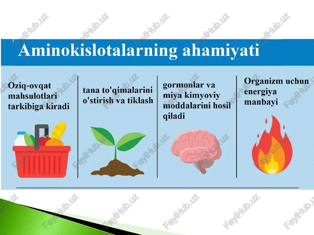 aminokislotalar biosintezi texnologiyasi - Page 2