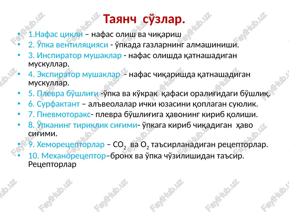 hi kichik doirasi kapillyarlaridagi qon orasida ). gazlarning qon orqali tashilishi. to'qimalarda gazlar almashinuvi (qon aylanish katta doirasi kapillyarlaridagi qon va to'qimalar hujayralari orasida) ichki nafas (hujayralar mitoxandriyalarida biologik oksidlanish nafas bosqichlari atmosfera havosi tashqi nafas gazlarni qonda tashilishi to'kima nafasi alveolyar havo arterial qon venoz qon to'qima nafas chiqarish nafas olish nafas biomexanizmi ko'krak qafasi hajmini o'zgartiruvchi ikki biome-xanizm mavjud: qovurg'alar ko'tarilishi va pastga tushirilishi hamda diafragma gumbazining hara-katlari. ikkala biomexanizm ham nafas mushak-lari tomonidan amalga oshiriladi. nafas mushak-lari inspirator va ekpirator mushaklarga bo'linadi. ko'krak qafasi hajmining o'zgarishi nafas mushaklari qisqarishi hisobiga amalga oshadi. tinch nafasda nafas chiqarish nofaol, bundan oldingi nafas olish vaqtida yig'ilgan elastik energiya hisobiga sodir bo'ladi nafas olish va chiqarishda ishtirok etadigan muskullar nafas olishda ishtirok etadigan muskullar nafas chiqarishda ishtirok etadigan muskullar tinch turganda chuqur nafas olganda tinch turganda chuqur nafas chiqarganda diafragma tashqi qobirg'alararo tog'aylararo narvonsimon, katta va kichik ko'krak, oldingi tishsimon trapetsiyasimon, …