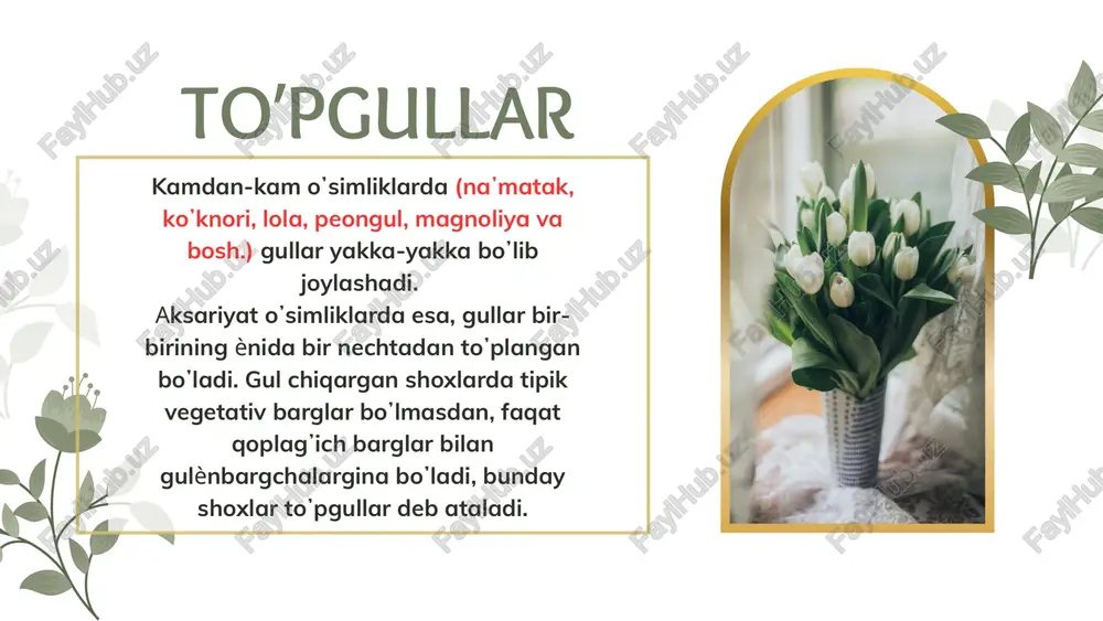 yaxshi rivojlangan, gullarining soni noaniq boʼladi, shuning uchun ham ularni noaniq toʼpgullar deyiladi. boshoq toʼpgullarda asosiy oʼq kuchli rivojlangan boʼlib, gullar oʼq boʼylab bandsiz yoki juda qisqa band bilan birikadi (zubturum). shingil toʼpgullarda asosiy oʼq uzun boʼlib, unda gullar bir xil uzunlikdagi band bilan ketma-ket spiralsimon joylashadi (oq akatsiya, burchoq va boshqalar). soʼtada toʼpgullarda asosiy oʼq seret boʼlib, gullar bandsiz joylashadi (makkajoʼxori). soyabon toʼpgullarda asosiy oʼq qisqargan boʼlib, gullarning yaxshi rivojlangan bir xil uzunlikdagi gulbandlari bir joydan chiqadi (piyoz, olcha). savatcha toʼpgullarda asosiy oʼq yassi yoki konussimon kengaygan boʼlib, gullari bandsiz joylashgan (kungaboqar, boʼtakoʼz). gullar akropetal holatda ochiladi: avval chetki gullar, soʼngra oʼrta qismdagi gullar ochiladi. qalqon toʼpgullarda ostki gullarning gulbandi ustki gullarnikiga qaraganda uzun boʼladi (nok). (nok) kungaboqar boʼtakoʼz murakkab monopodial toʼpgullarga quyidagi toʼpgullar kiritiladi: 1) murakkab boshoq – monopodial shoxlangan asosiy oʼqda ikkinchi tartibli oʼq boʼlib, oddiy boshoqlar joylashadi (bugʼdoy, arpa). 2) murakkab shingil – uzun monopodial asosiy …