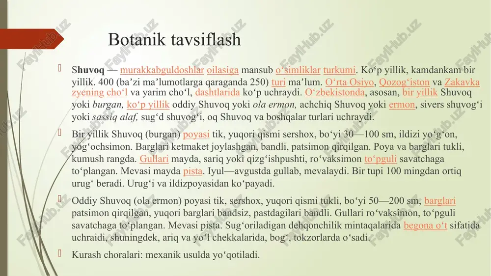 , yuqori qismi shoxlangan. ildizoldi barglari uzun bargli, uchburchak yumaloq ko'rinishda, 2-3 marta patsimon ajralgan [1], poyadagi barglari qisqa bandli ketma-ket o'rnashgan, poyaning yuqori qismidagi barglari uch bo'lakli [2]. sariq rangli, naychasimon gullari mayda savatchada ro'vaksimon to'pgulni tashkil etadi. mevasi-o'tkir uchli,cho'zinchoq,qo'ng'ir rangli pista.iyul-avgust oylarida gullaydi. davomi…. aholi yashaydigan joylarda yo'l yoqalarida, o'tloqlarda, o'rmon chetlarida, suv bo'ylarida va ekinzorlarda begona o't sifatida o'sadi. ayniqsa, rossiyaning yevropa qismida (shimoliy tumanlardan tashqari), moldava, ukraina, belorus respublikalarida, kavkaz, g'arbiy sibir, qozog'iston va markaziy osiyoda, shu jumladan, o'zbekistonda ham ko'plab uchraydi bosqich nom sho‘ba (divisio) magnoliophyta (gulli o‘simliklar) sinf (classis) magnoliopsida (ikki urug‘pallalilar) tartib (ordo) asterales oila (familia) asteraceae (qorag‘atdoshlar) tur (species) artemisia absinthium l. tasnifiy o‘rni (klassifikatsiyasi): davomi… umumiy tavsifi: hayotiy shakli: ko‘p yillik yarim buta (polukustarnik) bo‘yi: odatda 60–120 sm, ba'zida 150 sm gacha ildiz tizimi: asosiy ildiz chuqur kiradi, yon ildizlar kuchli rivojlangan poya: to‘g‘ri o‘suvchi, ko‘p bo‘lakli, silliq yoki ozgina tukli …