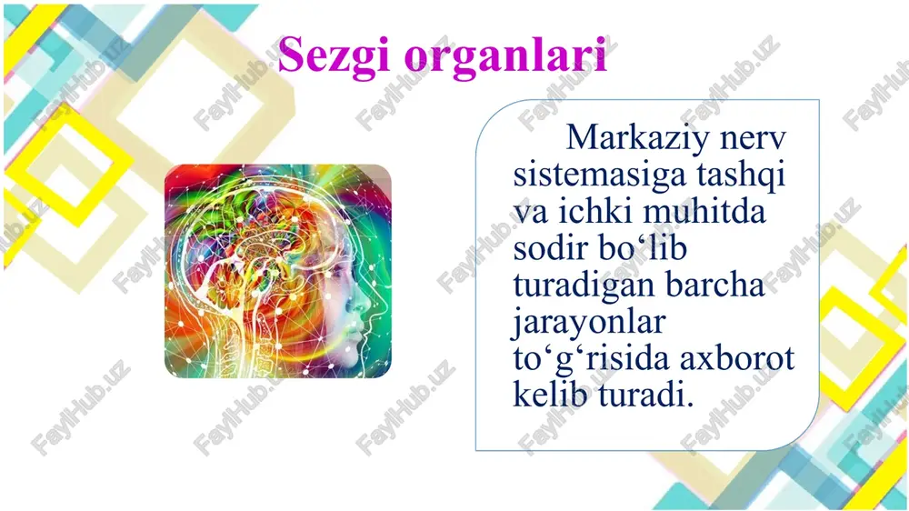 ishib kontakt hosil qiladi. shu tufayli tashqi muhitda yuz berayotgan hodisalar haqida yaxlit tasavvur hosil qilamiz. analizatorlardan birining funksiyasi buzilganida boshqalarining sezgirligi kuchayadi e’tiboringiz uchun rahmat !!!! 18 image1.jpg image2.jpg image3.png image4.jpg image5.png image6.png image7.png image8.jpeg image9.jpeg image10.png image11.png image12.jpg image13.png image14.png image15.png /docprops/thumbnail.jpeg
