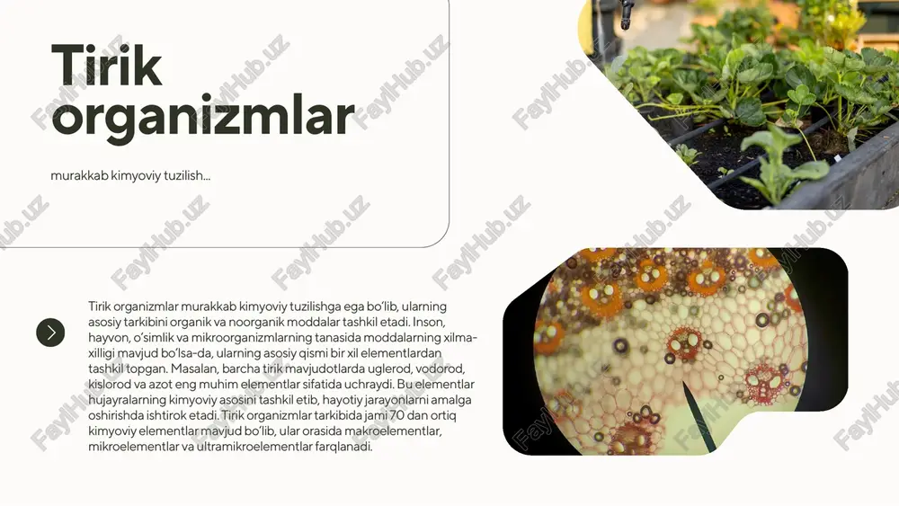 kovalent bogʻlar orqali bog'langan ikkita vodorod atomidan tashkil topgan. suv molekulasining bir tomoni musbat, ikkinchi tomoni esa manfiy zaryadlangan bo'lib, dipol-ikki qutbli molekula deyiladi. bitta suv molekulasining manfiy zaryadlangan kislorod atomi bilan ikkinchi suv molekulasining musbat zaryadlangan vodorod atomi orasida vodorod bog' hosil boʻladi. har h2o bir suv molekulasi 4 ta qo'shni suv molekulalari bilan vodorod bog' hosil qilib birikadi. mikroelementlar mikroelementlar tirik organizmlarda juda oz miqdorda uchrasa-da, ularning biologik ahamiyati beqiyosdir. masalan, rux ko‘plab fermentlarning faol markazida mavjud bo‘lib, oqsil va nuklein kislotalar almashinuviga ta’sir qiladi. yod qalqonsimon bez gormonlari — tiroksin va triiodtironin — ning tarkibiy qismi bo‘lib, moddalar almashinuvini boshqaradi. mis esa qon hosil bo‘lishida va fermentlar faoliyatida muhim rol o‘ynaydi. shuningdek, kobalt vitamin b12 ning tarkibida bo‘lib, qon eritrotsitlarining shakllanishida hal qiluvchi ahamiyatga ega. rahmat! e’tibor uchun