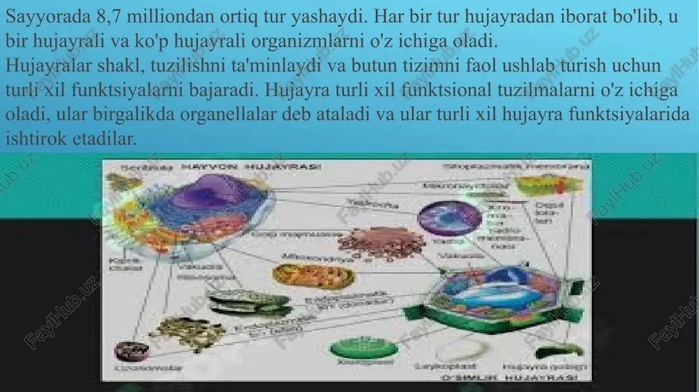 ning vazifalari plazma membranasi plazma membranasi hujayra membranasi yoki sitoplazmatik membrana deb ham ataladi. bu hujayralarning tanlab o'tkazuvchan membranasi bo'lib, u ikki qatlamli lipid va oqsillardan iborat. plazma membrana o'simlik va hayvon hujayralarida mavjud. u selektiv o'tkazuvchan membrana vazifasini bajaradi va selektiv materiallarning hujayra ichiga va tashqarisiga kirishiga ruxsat beradi. hayvonlar hujayrasida hujayra membranasi shakl berish orqali ishlaydi va hujayraning ichki tarkibini himoya qiladi. plazma membranasining tuzilishiga ko'ra u suyuq mozaika modeli sifatida qaraladi. suyuq mozaika modeliga ko'ra, plazma membranalari oqsil molekulalari joylashgan lipid ikki qavatidan iborat bo'lgan subhujayra tuzilmalaridir. sitoplazma sitoplazma o'simlik va hayvon hujayralarida mavjud. ular jelega o'xshash moddalar bo'lib, hujayra membranasi va yadro o'rtasida joylashgan. ular asosan suv, organik va noorganik birikmalardan iborat. sitoplazma hujayraning muhim tarkibiy qismlaridan biri bo'lib, u erda barcha hujayra organellalari joylashgan. ushbu hujayra organellalarida fermentlar mavjud bo'lib, ular asosan hujayra ichidagi barcha metabolik faollikni nazorat qilish uchun javob beradi va hujayra ichidagi …