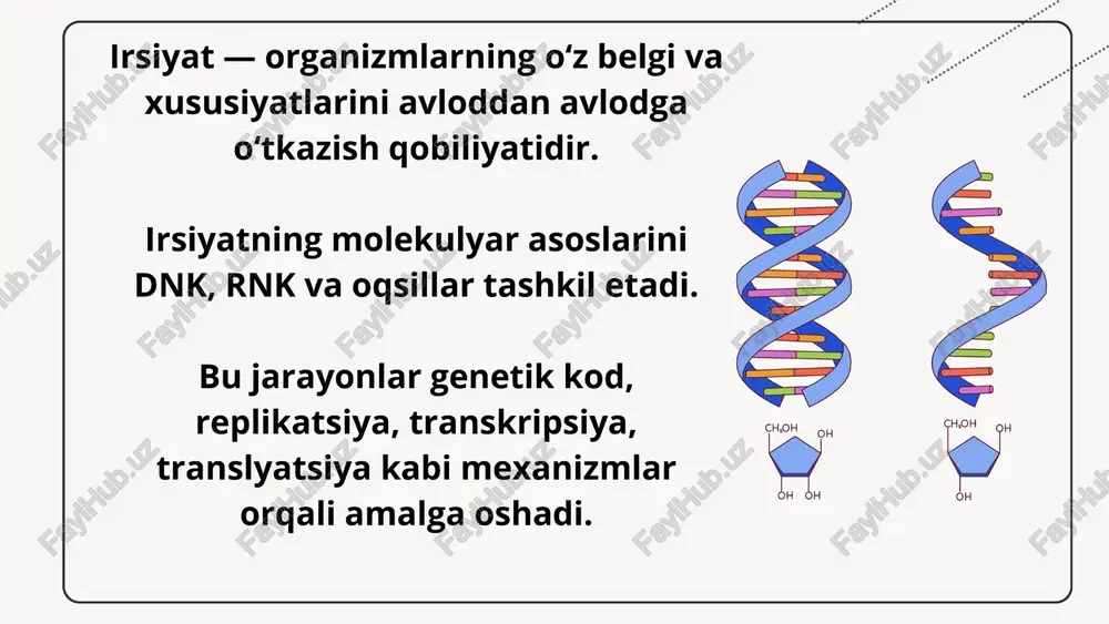 irsiyatning molekulyar asoslari - Page 2