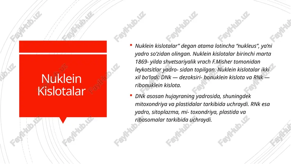 ladi. transduksiya transduksiya jarayo- ni 1952-yilda n. jinder va f. lederberg tomonidan kashf etilgan. bu kashfiyotga qadar bakteriya hujayrasiga fagning irsiy materiali (nuklein kislota) kirganda fag- larning hujayrada ko‘payishi oqibatida bakteriyaning hujayra qobig‘i yorilib o‘lishi, ya’ni lizis bo‘lishi ma’lum edi, xolos. bu jarayon faglarning litik reaksi- yasi deb ataladi. bunda bakteriya hujay- rasiga kirgan faglar 37°c da, 15–60 daqi- qa ichida litik siklga kiradi. konyugatsiya konyugatsiya (lot. conjugatio – «qo‘shilish» degan ma’noni anglatadi). bakteriyalarda konyugatsiya jarayoni bir bakteriya hujayrasidagi genetik materialni ikkinchi bakteriyaga olib o‘tkazish usuli bo‘lib, bunda ikkita bakteriya ingichka ko‘prikcha bilan bog‘lanadi va shu ko‘prikcha orqali bir hujayra (donor)dan boshqasi (retsipiyent)ga dnkning bir ipi o‘tadi. retsipiyentning irsiy xususiyatlari dnk bo‘lagida uzatilgan genetik axborot miqdoriga qarab o‘zgaradi reduplikatsiya transkripsiya translatsiya irsiy axborotni nasldan naslga o‘tkazish dnk molekulasining fundamental xususiyati – reduplikatsiyasi bilan bog‘liq. dnk molekulasining ikki hissa ortishi reduplikatsiya deyiladi. bu jarayonda dnk matritsa hisoblanadi. oqsil tuzilmasi to‘g‘risidagi axborot …