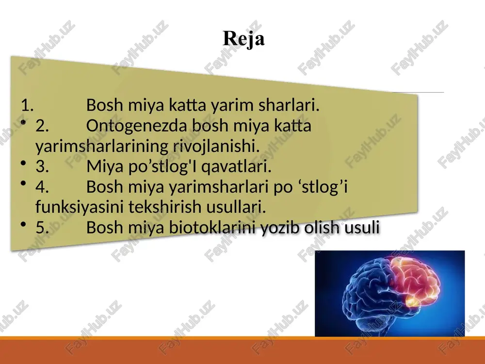 qo’l va oyoqlarga nervlar bo’linadigan joyida bo’yin va bel yo’g’onliklari mavjud. orqa miyaning tuzilishi. orqa miya uzun tasma shaklida bo’lib, uning uzunligi voyaga yetgan odamlarda 45 sm.gacha yetadi. yuqoridan uzunchoq miyaga tutashgan bo’lib, pastdan 1-2 bel segmentlarigacha yetib boradi, u toraya boradi va konus shaklidagi oxirgi iplar bilan tamom bo’ladi. orqa miya ko’ndalang kesilganida undagi tor markaziy kanal ko’kimtir modda bilan o’ralganligi ko’rinadi va ular oldingi va keyingi shoxlarni hosil qiladi. ko’krak qismidagi oldingi va keying shoxlarining orasida yonbosh shoxlar joylashgan bo’ladi. kulrang modda atrofida oldingi, keyingi va yonbosh arkonchalar shaklidagi oq moddaning bog’lamlari joylashadi. orqa miyaning ikki sigmenti. 1-orqa miya nervining oldingi shoxi; 2- orqa miya nervi; 3-umurtqalar aro bog’; 4-keyingi shox; 5-kulrang modda; 6- orqa miyaning oq moddasi. oorqa miya tuzilishi orqa miyaning kulrang moddasining yon shoxlarida simpatik asab tizimining vegetativ yadrolari joylashgan. -kulrang modda nerv hujayralari -oq moddasi nerv tolalaritolalarining jamlanishidan hosil bo’ladi. -oldingi ildizlar orqali qo’zg’alishlar …