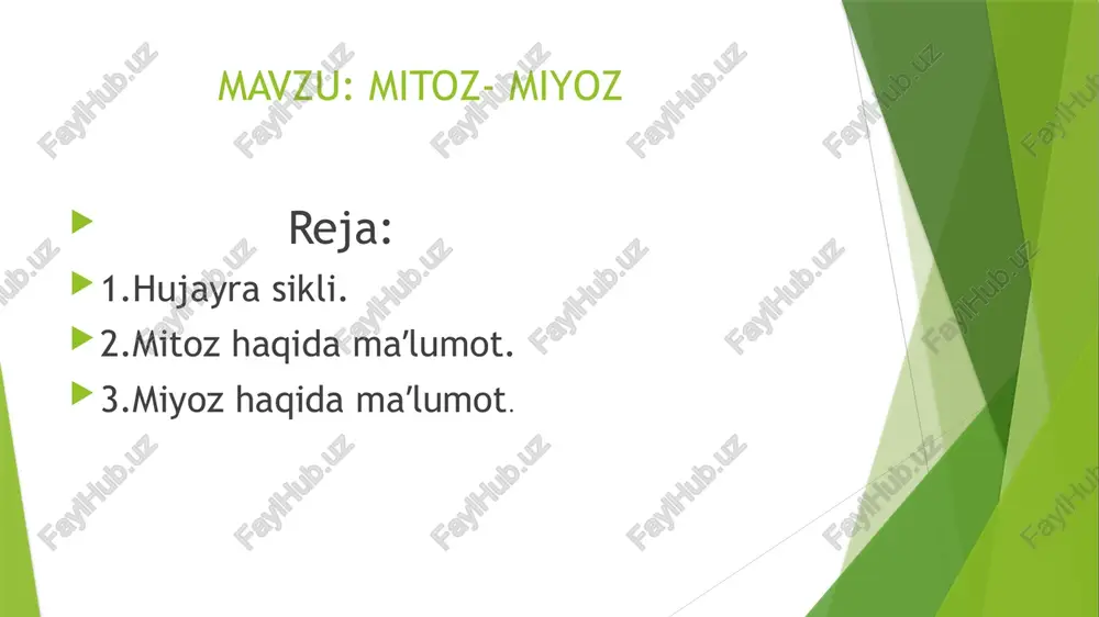 va uning miqdori ikki hissaga ortadi. oqsil va rnk sintezlanadi, hujayra markazi ham ikki hissaga or- tadi. mitoxondriya va plastidalardagi dnk ham ikki hissaga ortadi. dnk ikki hissa ortishi natijasida har bir xromosomada ikki baro- bar ko‘p dnk hosil bo‘ladi . profaza — yadro kattalashadi, yadro shirasining yopishqoqligi kamayadi, xromosomalar spiralga o‘ralib, kalta va yo‘g‘on holatga keladi. xromosomalar mikroskopda aniq ko‘rinadi. yadro qobig‘i va yadrochalar yo‘qoladi, xromosomalar sitoplazmada erkin holda joylashadi. ikkita sentriola hujayra qutblari tomon tarqala boshlay- di. bo‘linish urchug‘i hosil bo‘lishi boshlanadi. metafaza – xromosomalarning spirallanishi davom etadi. bu davrda xromosomalar eng kalta va yo‘g‘onlashgan holatga o‘tadi. xromosomalar ekvator tekisligi tomon harakatlana boshlaydi. xro- mosomalar qutblardan bir xil masofada, ya’ni ekvator tekisligida bir tekis joylashadi. xromosomalar orasidagi masofa bir xil bo‘la- di. xromosoma sentromeralari qat’iy qonuniyat asosida ekvator tekisligida bir xil holatda joylashadi. har bir xromosomaning xro- matidlari bir-biridan itarilib, faqat birlamchi belbog‘ bilan birikkan bo‘ladi. bo‘linish urchug‘i …