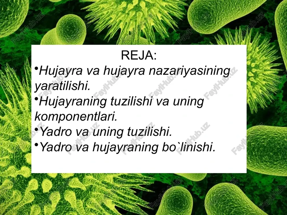 hujayraning shakli va o`lchamlari turlicha bo`ladi. aksariyat hollarda u ko`p qirrali bo`ladi. erkin holatda esa sharsimon, yulduzsimon, silindrsimon shakllarda bo`ladi. hujayra, asosan 3 qismdan: tashqaridan o`rab turuvchi hujayra po`sti, markazida joylashgan vakuola va hujayra shirasi – protoplastdan iborat. hujayra po`sti va vakuola uning o`lik qismi, protoplast esa tirik qismidir. protoplast o`z navbatida sitoplazma va yadrodan tashkil topgan. protoplastning faoliyati tufayli hujayra po`sti va hujayra shirasi ishlab chiqariladi. hujayra shirasi turli organik va mineral moddalarning suvdagi eritmasidir. elektron mikroskopda qaralganda, endoplazmatik to`r kanalchalarining tashqi yuzasida va bevosita sitoplazma qavatida yumaloq mayda tanachalarni ko`rish mumkin. bular ribosomalar deb ataladi. ular ribonuklein kislotaning (rnk) spiralsimon shaklli bir nechta molekulasidan tashkil topgan. rnk spirali o`rami orasida oqsil mulekulalari joylashadi va ular oqsil moddalarini sintezlab, muhim vazifani bajaradi. oqsil sintezlanishi uchun ribosomalardagi rnk molekulalari hujayra yadrosidagi dnk molekulalaridan ajraladigan informasion rnk ning alohida molekulalari tomonidan aktivlashtirilishi kerak. o`simliklar hujayrasining sitoplazmasida kalta tayoqchalar shaklidagi mitoxondriyalar bo`ladi. …