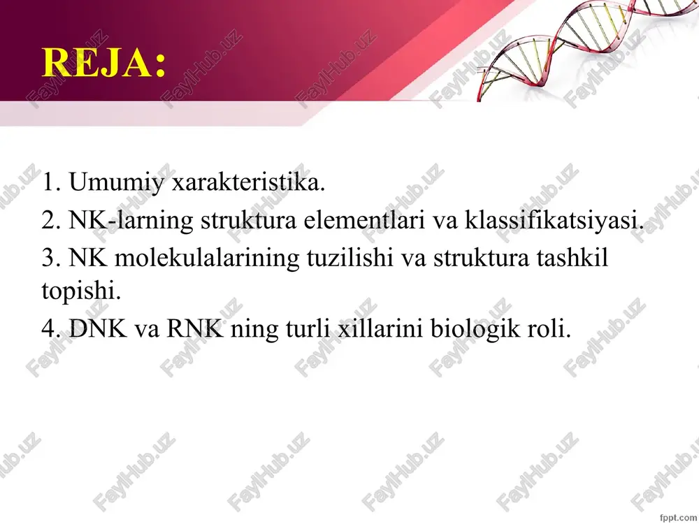 an farq qilad dnk tarkibiga kiradi: rnk tarkibiga kiradi: adenin adenin guanin guanin sitozin sitozin timin uratsil dezoksiriboza riboza `n3ro4 n3ro4 dnkning tuzilishiva strukturasi birlamchi strukturasi. dnkning molekulasida dezoksiribonukleotidlar bir-birlari bilan fosfor kislotasining qoldig’i va dezoksiriboza orqali birikib polinukleotid zanjirini hosil qiladi. polinukleotid zanjirida dezoksinukleotidlarning ma'lum tartibda ketma-ket joylashishi dnk molekulasining birlamchi strukturasini tashkil qiladi. ikkilamchi strukturasi. 1953 yilda d.uotson va f.krik taklif qilgan qo’shspiral modeliga muvofiq, dnk molekulasi faraz qilinadigan o’q atrofida biri ikkinchisiga spiral hosil qilib o’ralgan burama shaklidagi ikkita zanjirdan iborat. zanjirlar uglevod fosfat qoldiqlaridan tuzilgan, ulardan spiral ichiga ma'lum doimiy oraliqda azot asoslari tortilgan. bu ikkita zanjir identik, bir-biriga to’la mos keladi va komplementardir (lotincha complement – to’latish so’zidan olingan). ikkala zanjirning azot asoslari juft-juft bo’lib joylashgan (a-t va g-ts).ularni oraligida vodorod bog’lari bo’ladi, ya'ni adenin va timin oraligida – 2 ta, guanin va sitozin oraligida – 3 ta vodorod bog’lari bor. uotson va krik ervich …
