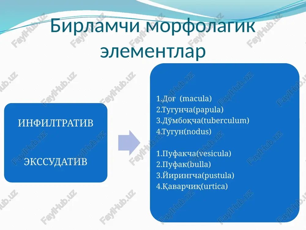 a) bu birlamchi ekssudativ, bo'shliqli, teri satxidan ko'tarilib turuvchi, o'lchamlari1 sm dan katta bo'lgan, yuza element. pufak pufakchadan faqat kattaligi bilan ajrab turadi. pufak seroz suyuqlik saqlab, o'zidan so'ng qaloq,eroziya va pigmentli dog' xosil qiladi. bu toshma pursildoq yara kasalligida uchraydi. yiringcha (pustula) bu birlamchi, ekssudativ, bo'shliqli, teri satxidan ko'tarilib to'ruvchi, bo'shlig'ida yiring suyuqlik saqlovchi, yuza yoki chuqur element bo'lishi mumkun. yiringcha soch fallikuli atrofida yoki epidermisni yuzaki va chuqur derma qavatida joylashib, keyinchalik yorilib eroziya yoki yara, pigmentli dog' qoldiradi. qavarchiq (urtica) bu birlamchi ekssudativ, teri satxidan ko'tarilib turuvchi bushliqsiz, tez paydo bo'lib, tez o'tib ketadigan xujayralar ichidagi shish xisobiga vujudga keladi. o'rnida xech asorat qoldirmaydi, va eshakemi kasalligida va xashoratlar chaqqanda uchraydi. ikkilamchi morfolagik elementlar ikkilamchi dog' kepaklanish eroziya yara yoriq qaloq chandiq vegetatsiya lixenizatsiya atrofiya ikkilamchi dog' hamma birlamchi toshmalardan keyin, ular o'rnida paydo bo'lishi mumkun. pigmentli dog'lar terini melanin pigmentini vaqtincha biror soxada to'planishi, yo'qolishi yoki …
