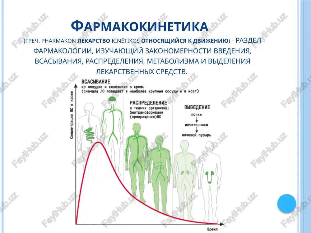 leno spektrom farmakologicheskogo deystviya lekarstva sposobstvuet proyavleniyu glavnogo deystviya ili dopolnyaet ego meshaet glavnomu deystviyu i vizivaet nejelatelnie i toksicheskie effekti polojitelnoe otritsatelnoe pobochnie effekti slabo virajeni, otnositelno legko perenosyatsya patsientom (umerennaya toshnota, golovnaya bol i tak dalee) i ischezayut posle prekrasheniya priema ili snijeniya dozirovki preparata mogut ugrojat zdorovyu i jizni patsienta (porajeniya pecheni, pochek, znachitelnie narusheniya krovetvoreniya – aplasticheskaya anemiya i drugie). slabie tyajelie vidi deystviya lekarstv na techenie beremennosti i plod embriotoksicheskoe teratogennoe fetotoksicheskoe faktori, vliyayushie na deystvie lekarstv vnutrennie vozrast pol massa geneticheskie osobennosti patologicheskie sostoyaniya vneshnie xarakter i rejim pitaniya fizicheskie nagruzki bioritmi, meteousloviya, solnechnaya aktivnost, magnitnie polya. vneshnie faktori, svyazannie s osobennostyami lekarstv fiziko-ximicheskie svoystva put vvedeniya lekarstvennaya forma stepen svyazivaniya s belkami krovi srodstvo k opredelennim tkanyam organizma doza - eto kolichestvo lekarstvennogo veshestva, vvedennoe v organizm «vsyo est yad, i nichto ne lisheno yadovitosti. yad ot lekarstva otlichaetsya dozoy» paratsels terapevticheskaya toksicheskaya …