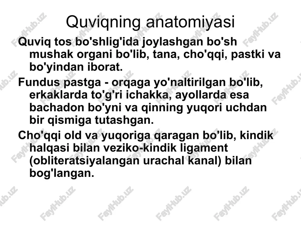 g va yuqori-pastki o'lchamlarni o'lchaydigan bir qator bo'limlarni qilamiz. quviqning barcha bo'limlari va devorlarini, bo'yinlarini, siydik yo'llarining teshiklarini tekshirish, devorning tarkibini, qalinligi va tekisligini, qo'shimcha shakllanishlar mavjudligini, ularning harakatchanligi va joylashishini baholash kerak. agar transabdominal ultratovush tekshiruvi paytida siydik pufagining biron bir qismini ko'rishda qiyinchiliklar mavjud bo'lsa, uni tekshirish kerak. uning bo'shlig'i sensori (transrektal, transvaginal). quviqning old devori va pastki qismi, siydik chiqarish yo'llarining bo'yni va og'zi, kichik bo'shliqni egallagan shakllanishlar yaxshiroq ko'rinadi. transuretral ultratovush intrakavitar sensor ishlatiladi, bu esa siydik pufagini 360° sektorda tekshirish imkonini beradi tuus qovuq devorining barcha qatlamlarini aniq tasvirlaydi, bu o'simta invaziyasi chuqurligini aniqlashda tanlangan usuldir. quviq va siydik chiqarish kanalining rivojlanish anomaliyalari quviq divertikullari ureterosele ektopik siydik chiqarish teshigi siydik chiqarish teshigining yoshi quviq divertikullari (to'g'ri) divertikul - embriogenezda noto'g'ri shakllanganligi sababli siydik pufagi devorining barcha qatlamlarining qopga o'xshash chiqishi. divertikullar bitta yoki ko'p bo'lishi mumkin, ko'pincha devorlarda, kamroq tez-tez tepada yoki pastki qismida …