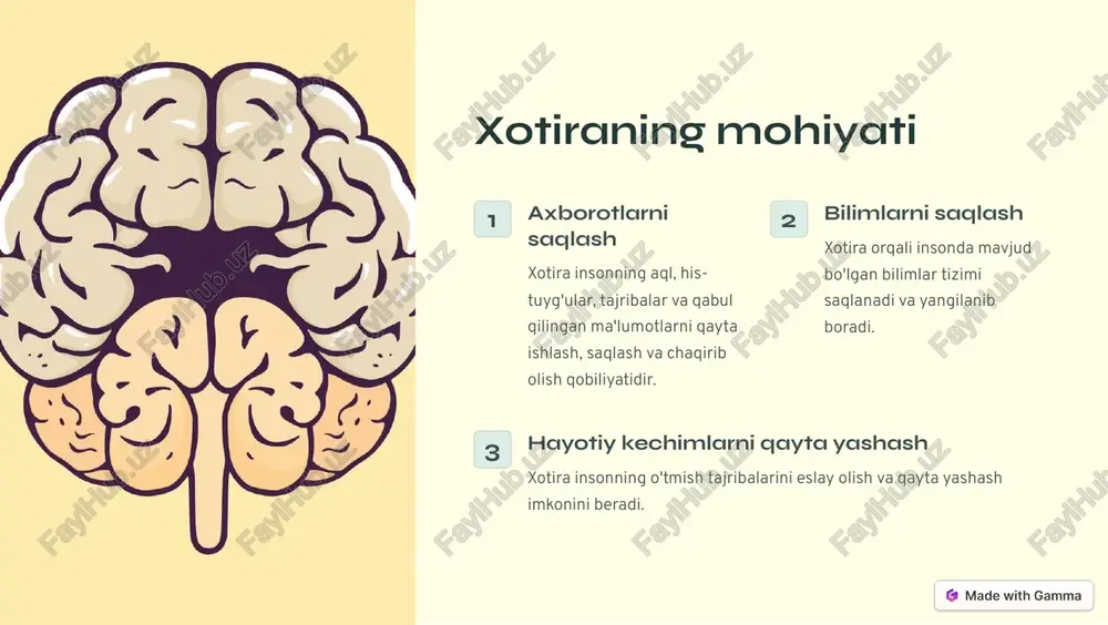 bilan bog'lash va ularga chiroyli vizual obrazlar ulash xotiraga yaxshi ta'sir qiladi. https://gamma.app/?utm_source=made-with-gamma xotira va yodlash jarayoni 1 idrok qilish atrof-muhitdan qabul qilingan ma'lumotlar sezgi organlari orqali idrok qilinadi. 2 qayta ishlash qabul qilingan ma'lumotlar miyada tahlil qilinib, ma'no va mazmun kasb etadi. 3 saqlash ma'lum vaqt davomida saqlangan ma'lumotlar xotira tizimida saqlanadi. 4 esga tushirish saqlangan ma'lumotlar zarur bo'lganda esga solinadi va qayta ishlatiladi. https://gamma.app/?utm_source=made-with-gamma xotira bilan bog'liq muammolar va ularni hal etish usullari esyodlash xotira qobiliyatining zaiflashuvi yoki so'nishi kabi muammolar. diqqat tarqoqligi xotirani yuzaga keltiruvchi diqqat va e'tibor muammolari. sog'liq holati yoshi, stress, yuqori qon bosimi kabi sog'liq holatiga bog'liq muammolar. bilim va malaka ma'lumotlarni saqlash va eslab qolishda malaka yetishmasligi. https://gamma.app/?utm_source=made-with-gamma xotira tadqiqotlarining kelajagi 1 kognitiv texnologiyalar miya-kompyuter interfeysi, neyrosozlovchilar va boshqa texnologiyalar xotiraning yanada takomillashishiga olib keladi. 2 xotira tiklash usullari nevrologik kasalliklardan zarar ko'rgan xotiraning tiklanishiga qaratilgan yangi usullar yaratiladi. 3 yangi bilimlar o'rganishning …