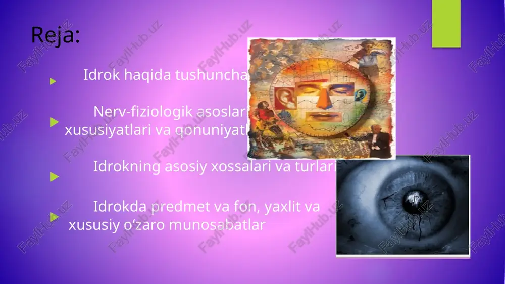 tgan narsa yoki hodisa biz uchun yangi notanish bo'lsa, darrov fikr yuritish faoliyati boshlanadi va "bu nima", idrok jarayoniga his-tuyg'ular ta'sir qiladi. bu his-tuyg'ular idrok qilinayotgan narsa hodisalar tug'risida o'tmishda tug'ilgan taassurotlar va fikrlardan hamda ayni paytdagi idrok jarayonidan vujudga kelishi mumkin. his-tuyg'ular idrokning aktivlik darajasini kuchaytiradi, uning mazmunini jonli, erkin qiladi. idrok jarayonida diqqat g'oyat katta ahamiyatga ega. diqqat idrokning aktivligini oshiradi va uning mukammal bo'lishiga xizmat qiladi. diqqatsiz hech narsani idrok qilish mumkin emas. idrokning nerv fiziologik asosi idrok ham sezgi kabi reflektor jarayon hisoblanadi. i.p.pavlov bo’yicha idrokning negizini tevarak-atrofimizdagi narsa va hodisalar reseptorlarga ta'sir etishi natijasida bosh miyaning katta yarim shariari qobiqida hosil bo’ladigan shartli reflekslaming muvaqqat nerv bog’lanishlari tashkil etadi. tashqi olamdagi narsalar va hodisalar kompleks qo’zg’atuvchi sifatida xizmat qiladi. analizatoriaming qobiq bo’iinmalar o’zagida ana shu kompleks qo’zg’atuvchilaming murakkab tahlili va sintezi amalga oshiriladi. idrok sezgilarga qaraganda miyaning ancha yuksak darajadagi tahlil qilish, umumlashtirish faoliyati hisoblanadi. …