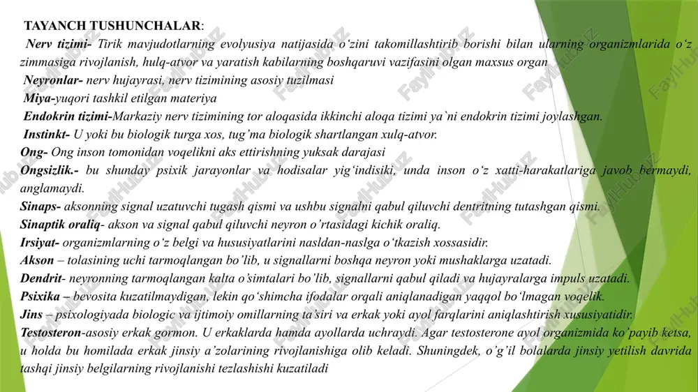 tashqi jinsiy belgilarning rivojlanishi tezlashishi kuzatiladi hozirgi zamon fanida jadal rivojlanib, katta qiziqish uyg‘otayotgan va inson sir-sinoatlariga chuqurroq kirib borishga muvaffaq bo‘lgan soha asab tizimini tadqiq etish hisoblanadi periferik asab tizimi – nervlar va nerv tugunlaridan iborat. periferik nervlar majmuasi yurak, o‘pka, ovqat hazm qilish tizimi va boshqa ichki organlar, tomirlar va to‘qimalarni ta’minlaydi, bularning barchasi vegetativ asab tizimini tashkil etadi. uning faoliyati inson iroda kuchiga bog‘liq bo‘lmaydi 3.1 . nerv tizimi va endokrin tizimining inson organizmi va xulq atvoridagi ahamiyati. organizmning yaxlit tuzilma sifatida faoliyat ko‘rsatishini nerv hosilalarining to‘plamlari ta’minlab beradi. asab tizimi markaziy, periferik va vegetativ bo‘limlardan iborat. markaziy asab tizimi (mat) bosh va orqa miyani o‘z ichiga oladi. miya organizmda boshqaruvchi vazifasini o‘taydi va psixomotor faoliyatni ta’minlab beradi. bundan tashqari, miya fikrlarimizni mahorat bilan boshqarib, inson organizmining beshta asosiy tuyg‘ulari – ko‘rish, eshitish, ta’m bilish, hid bilish va sezishni nazorat qiladi.[1] neyron-asab tizimining asosiy birligi inson tanasi …