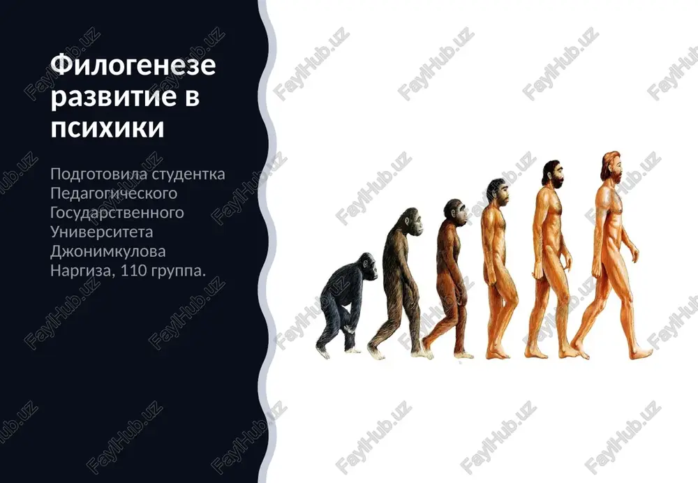 u nasekomix psixiki net, poskolku u nix uzelkovaya nervnaya sistema bez virajennogo golovnogo mozga); 5) antropopsixizm (r. dekart i dr.) polagaet, chto psixika prisusha tolko cheloveku. urovni psixiki. 1. razdrajimost – sposobnost organizma tolko reagirovat na biologicheski znachimie stimuli (kak pravilo – antropogennie). uroven razvitiya nervnoy sistemi – otsutstvie, diffuznaya nervnaya sistema primeri: tropizmi rasteniy, taksisi prosteyshix, aktivnostnie proyavleniya gidroidnix s diffuznoy nervnoy sistemoy. urovni psixiki. 2. chuvstvitelnost – sposobnost organizma reagirovat uje na neytralnie stimuli putyom prosteyshix deystviy i povedeniya; uroven razvitiya nervnoy sistemi: uzlovaya nervnaya sistema, trubchataya nervnaya sistema; primeri: mollyuski, chlenistonogie; pletenie pautini i reaktsiya na popadaniya muxi v neyo u paka urovni psixiki. 3. visshaya nervnaya deyatelnost: - bezuslovnie refleksi. - uslovnie refleksi. - instinkti i imprinting. - slojnie formi visshey nervnoy deyatelnosti. uroven razvitiya nervnoy sistemi: spinnoy i golovnoy mozg – ot dominirovaniya spinnogo mozga do dominirovaniya tretichnix zon kori golovnogo mozga primeri: vse formi …