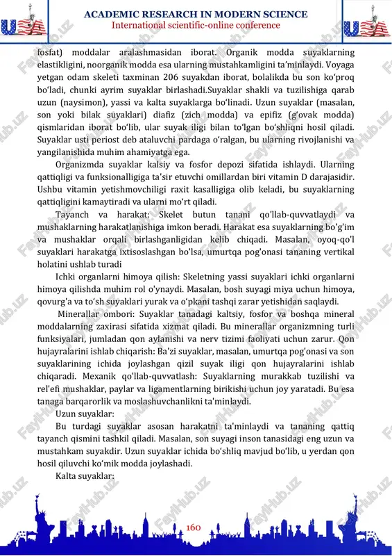 ratadi, osteoklastlar esa eskirgan qismlarni yemiradi. bu jarayon suyakning o‘sishi va tiklanishida muhim rol o‘ynaydi. suyaklar odam skeletining asosiy qismini tashkil qiladi. ular zich va g‘ovak moddalardan tuzilgan bo‘lib, organik (ossein, xitin) va noorganik (asosan, kalsiy academic research in modern science international scientific-online conference 160 fosfat) moddalar aralashmasidan iborat. organik modda suyaklarning elastikligini, noorganik modda esa ularning mustahkamligini ta’minlaydi. voyaga yetgan odam skeleti taxminan 206 suyakdan iborat, bolalikda bu son ko‘proq bo‘ladi, chunki ayrim suyaklar birlashadi.suyaklar shakli va tuzilishiga qarab uzun (naysimon), yassi va kalta suyaklarga bo‘linadi. uzun suyaklar (masalan, son yoki bilak suyaklari) diafiz (zich modda) va epifiz (g‘ovak modda) qismlaridan iborat bo‘lib, ular suyak iligi bilan to‘lgan bo‘shliqni hosil qiladi. suyaklar usti periost deb ataluvchi pardaga o‘ralgan, bu ularning rivojlanishi va yangilanishida muhim ahamiyatga ega. organizmda suyaklar kalsiy va fosfor depozi sifatida ishlaydi. ularning qattiqligi va funksionalligiga ta'sir etuvchi omillardan biri vitamin d darajasidir. ushbu vitamin yetishmovchiligi raxit …