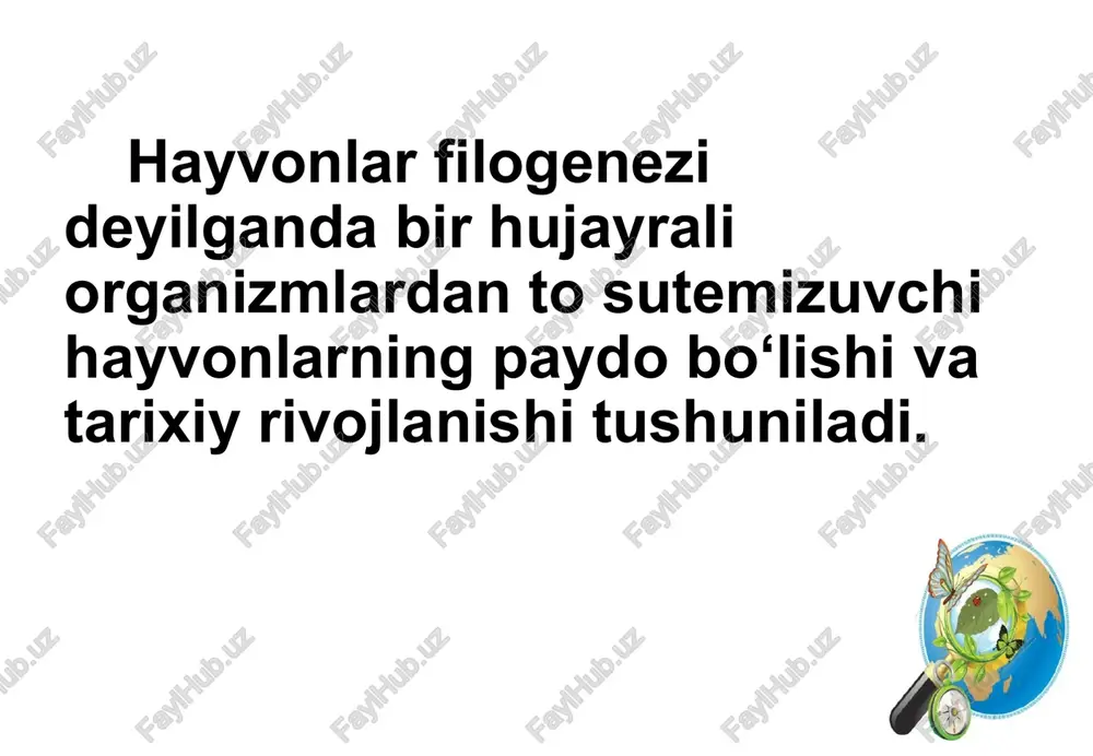 nvaginatsiya tufayli paydo bo‘lganligi haqida taxminlar bor. * rus olimi i.i.mechnikov esa dastlabki ko‘p hujayrali hayvonlar sharsimon koloniyadagi ayrim hujayralarning koloniya ichiga ko‘chib o‘tishi - migratsiyasi natijasida paydo bo‘lganligini qayd etadi. * keyinchalik ichki hujayralar bir qator tig‘iz joylashuvi natijasida ichki qavat hujayralari entodermani hosil qilgan; tashqi qavat esa ektodermaga aylangan. ektoderma hujayralari harakatlanish, sezish va himoya qilish funksiyasini bajarishga moslashgan. ana shu yo‘l bilan kolonial xivchinlilardan ikki qavatli ko‘p hujayrali hayvonlar - bulutlar va bo‘shliqichlilar kelib chiqqan. * yassi chuvalchanglar ikki tomonlama simmetriyali hayvonlar orasida eng sodda tuzilgan. to‘qima va organlarining rivojlanganligi ularning tuban ko‘p hujayralilarga nisbatan yuksak tuzilganligini ko‘rsatadi. ularda hazm qilish, ayirish, nerv, jinsiy sistemalarning paydo bo‘lishi yirik aromorfozlardan hisoblanadi. * yassi chuvalchanglar erkin suzib yurishdan suv tubida o‘rmalab yurishga o‘tgan qadimgi bo‘shliqichlilardan kelib chiqqanligi taxmin qilinadi. * suv tubida o‘rmalab yurish tufayli hayvonlarning oldingi va keyingi, qorin va orqa tomonlari paydo bo‘lgan; dastlab erkin yashovchi yassi …