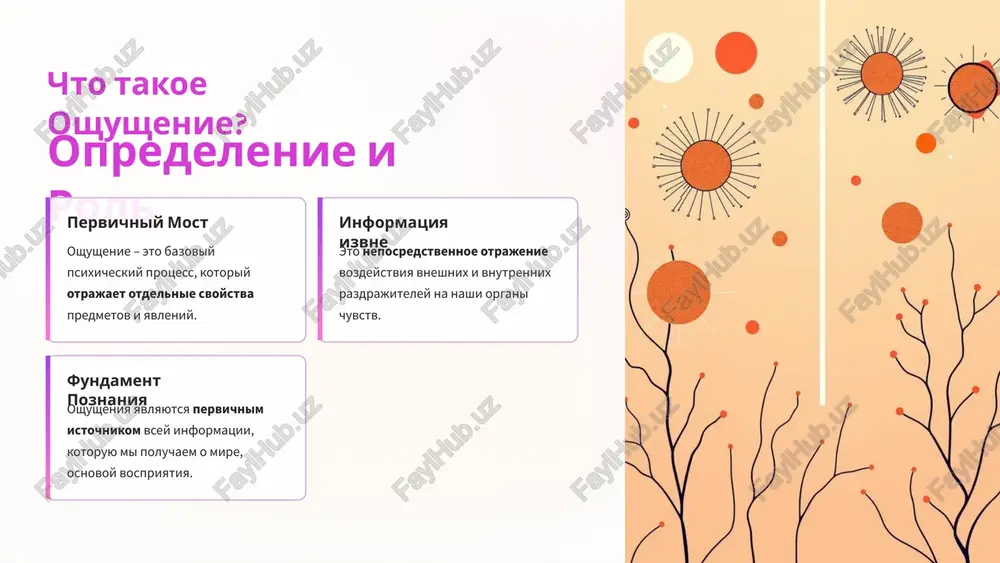 grayushee na vsex vkusovix i taktilnix oshusheniyax. 1.7.2013 6 ‹#› iskajeniya vospriyatiya illyuzii i gallyutsinatsii nash mozg ne vsegda idealen v interpretatsii signalov. illyuzii iskajennoe vospriyatie realno sushestvuyushego ob'ekta. primer: miraj, opticheskie illyuzii (moyshera, myullera-layera). gallyutsinatsii vospriyatie ob'ektov ili yavleniy, kotorie ne sushestvuyut v realnosti. voznikayut pri narushenii raboti mozga. 1.7.2013 7 ‹#› razvitie sensornoy chuvstvitelnosti kak obostryat svoi oshusheniya i povishat porog razlichiya. sensornaya differentsiatsiya trenirovka dlya razlicheniya minimalnix izmeneniy v razdrajitelyax (naprimer, degustatsiya ottenkov vkusa). napravlennoe vnimanie tselenapravlennoe fokusirovanie na odnom tipe oshusheniy, isklyuchaya drugie (naprimer, slushat tolko zvuki lesa). praktika i opit regulyarnoe ispolzovanie i analiz oshusheniy (vajno dlya professiy: somele, parfyumer, muzikant). 1.7.2013 8 ‹#› osoznannost cherez oshusheniya praktiki meditatsii i mayndfulness 1. dixanie osoznayte fizicheskie oshusheniya vdoxa i vidoxa, temperaturu vozduxa. 2. skanirovanie tela poshagovoe pereklyuchenie vnimaniya na razlichnie chasti tela, otmechaya napryajenie ili rasslablenie. 3. moment "zdes i seychas" vozvrashenie k tekushim oshusheniyam (zvuk, …