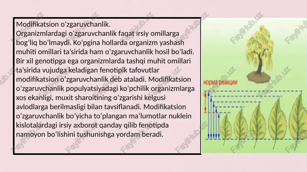 uhit omillari ta'sirida yangi belgilarning paydo bo'lish jarayoni. binobarin, belgilarning paydo bo'lgan modifikatsiyalari - modifikatsiyalari meros bo'lib qolmaydi. ikkita bir xil (monozigot) egizaklar bir xil genotiplarga ega, ammo taqdirning irodasi bilan har xil sharoitlarda o'sib ulg'aygan holda bir-biridan juda farq qilishi mumkin. belgilarning rivojlanishiga tashqi muhitning ta'sirini isbotlovchi klassik misol - o'q uchi. bu o'simlik o'sadigan sharoitga qarab uch xil barglarni rivojlantiradi - havoda, suv ustunida yoki sirtda. atrof-muhit sharoitlari ta'sirida belgilar o'zgarishi mumkinligiga qaramay, bu o'zgaruvchanlik cheksiz emas. bu genotipning belgi o'zgarishi sodir bo'lishi mumkin bo'lgan o'ziga xos chegaralarni belgilashi bilan izohlanadi. belgining o'zgaruvchanlik darajasi yoki o'zgaruvchanlik chegarasi deyiladi reaktsiya tezligi. reaksiya tezligi atrof-muhitning turli omillari ta'sirida ma'lum bir genotip asosida hosil bo'lgan organizmlarning fenotiplari yig'indisida ifodalanadi. modifikatsion o`zgarishlar bir qancha tiplarga bo`linadi. shulardan biri modifikatsiyalarning adaptivligidir. ko`pchilik hollarda modifikatsiya u yoki bu tashqi muhit sharoitlariga organizmning foydali moslashish reaktsiyasi bo`lib namoyon bo`ladi. buni biz yuqorida ko`rib o`tilgan barcha …