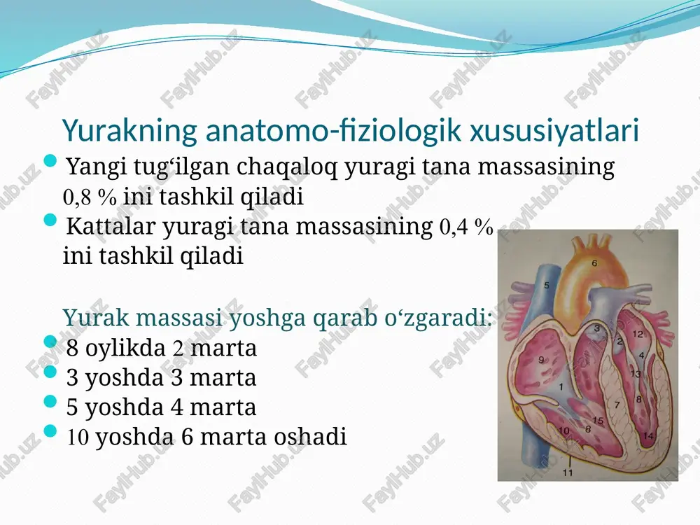 qin, ammo 16 yoshdan so‘ng arteriyalar 2 barobar ingichkalashadi puls tezligi yangi tug‘ilgan chaqaloqlarda – 120-140 ta 1 yoshda – 120 ta 3 yoshda – 105 ta 5 yoshda – 100 ta 8 yoshda – 90 ta 10 yoshda – 85 ta 12 yoshda – 80 ta a.carotis (uyqu arteriyasida) bolalar uchun puls tezligi (a.f. tur bo‘yicha) yoshi 1 daqiqalik puls tezligi yoshi 1 daqiqalik puls tezligi yatch 120-140 8 yosh 80-65 6 oylik 130-135 9 yosh 80-85 1 yosh 120-125 10 yosh 76-85 2 yosh 110-115 11 yosh 78-84 3 yosh 105-110 12 yosh 75-82 4 yosh 100-105 13 yosh 72-80 5 yosh 98-100 14 yosh 72-78 6 yosh 90-95 15 yosh 70-75 7 yosh 85-90 kattalar 60-85 a.humoralis a.radialis a.femoralis a.dorsalis pedis a.poplitea a.tibialis posterior puls xususiyatlari normada simmetrik puls tezligi. puls sonining yoshiga mosligi ritmi. normada ritmik. patologiyada pasaygan, noto‘g‘ri puls puls qarshiligi normada o‘rtacha. patologiyada zaif …