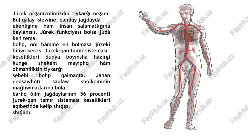 qısqarıwına zárúrlik boladı. sol sebepli júrekten uzaǵıraq jaylasqan orta hám kishi qan tamırlarda tegis bulshıq et qabatı jaqsı. rawajlanǵan bolıp, onı bulshıq et toparındaǵı qan tamırı delinedi. arteriya hám venalar arasında mikroskopta kóriw múmkin bolgan mikrotamırlar jaylasqan. olardıń eń kishisi kapillyar dep ataladı. organizmde qan jabıq sheńber ishinde háreket etip, úlken hám kishi qan aylanıw sheńberi parıqlanadı. úlken qan aylanıw sheńberi júrek penen organlar arasındaǵı qan háreketin támiyinlep, júrektiń shep qarınshasinan aorta baslanıp hám oń bólmeshege joqarı hám de tómengi gewek venalar sıpatında tamamlanadı. kishi qan aylanıw sheńberi bolsa júrektiń oń qarınshasınan ókpe arteriyası atı menen baslanıp, ókpe qan tamırları qatnasıwında, ókpe venası atı menen shep bólmeshede tamamlanadı. qan tamırlardı aǵza sırtında jaylasqan hám aǵza ishinde baǵdarlanatuǵın bólimlerge bólinedi. bul bóliniw salıstırmalı bolip, tiykarınan qan tamırları úzliksiz bir-birine dawam etedi. etedi. aǵza ishindegi qan tamırlardan hám onnan da kishi bólimnen dúzilgenligin anıqlaw múmkin. tiykarınan ókpe, bawır, búyrek, talaq sıyaqlılar kishi …