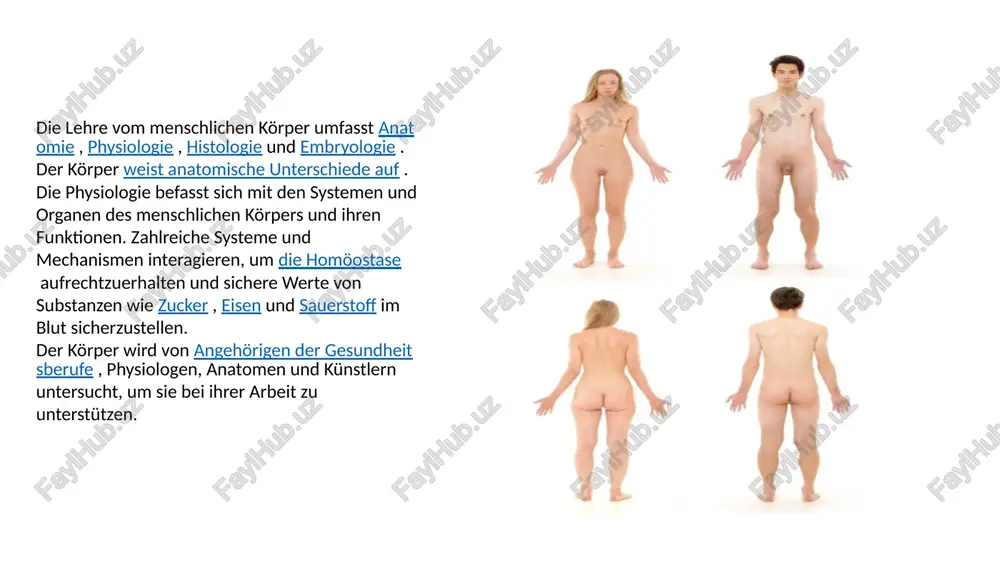 3,2 liter (0,70 imp gal; 0,85 us gal) blutplasma und etwa 8,4 liter (1,8 imp gal; 2,2 us gal) zellflüssigkeit. [ 1 ] inhalt, säuregrad und zusammensetzung des wassers innerhalb und außerhalb der zellen werden sorgfältig aufrechterhalten. die wichtigsten elektrolyte im körperwasser außerhalb der zellen sind natrium und chlorid , innerhalb der zellen sind es kalium und andere phosphate . [ 2zellen siehe auch: liste der verschiedenen zelltypen im erwachsenen menschlichen körper der körper enthält billionen von zellen , die grundeinheit allen lebens. im ausgewachsenen zustand enthält der körper etwa 30 billionen zellen und 38 billionen bakterien [ 3 ] [ 4 ] , eine schätzung, die sich aus der summe der zellzahlen aller zellzahlen aller organe und zelltypen des körpers ergibt . die haut des körpers beherbergt außerdem milliarden von kommensalen sowie immunzellen. [ 5 ] nicht alle körperteile bestehen aus zellen. die zellen befinden sich in einer extrazellulären …