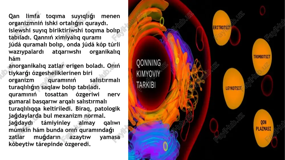 toplanǵan glyukoza yamasa bulshıq etlerde energiya payda bolıwı. ayırıw organlarına metabolizmde payda bolǵan ekskreciyanıń aqırǵı eriytuǵın ónimlerin túsiwi. máselen, bawırda payda bolǵan sidikshil búyrekke tasıladı, hám de sidik penen ajıratıp taslanadi. toqimanıń nasaf alıwında payda bolǵan karbonatlar barlıq kletkalar tárepinen sırtqa shıǵarıp taslanadı. organizmdegi ıssılıqtı bólistiriwde de qan qatnasında ámelge asırıladı, ishki jaylasqan organlardan joqarı toqimalarga uzatıw orınlanadı, dene temperaturası turaqlılıǵın saqlawǵa járdem beredi. eritrocitler quramındaǵı karboangidraza fermenti tásirinde karbonagemoglabin payda bolıp, tarqalıwı reakciyasın aktivlestiretuǵın ferment tásirinde gemoglobin ajıralǵan vadarot protonın baylaydı, bunda oksigemoglobin dissaciyaǵa ushırasadı. karbonat anionlari bolsa eritrocit ishinde muǵdarı kóp bolǵan kalciy. kationları menen baylanısadı, gidrokarbanat payda boladı: eritrocit ishinde kalciy gidrokarbonat, plazmada bolsa natriy gidrokarbonat. gemoglobinniń buferlik tásiri boyınsha toqımalardan karbonat kislotalar neytrallanadı hám ph ózgermes halında saqlanadı. qannıń osmoslıq funkciyası - tamırlar ishindegi osmoslıq basım plazmadaǵı albumin hám kalciy kationları yesabına ámelge asırıladı. eritrocitler ishinde bolsa gemoglobin hám natriy ionları basqaradı. qan belokları páseyiwi yamasa …