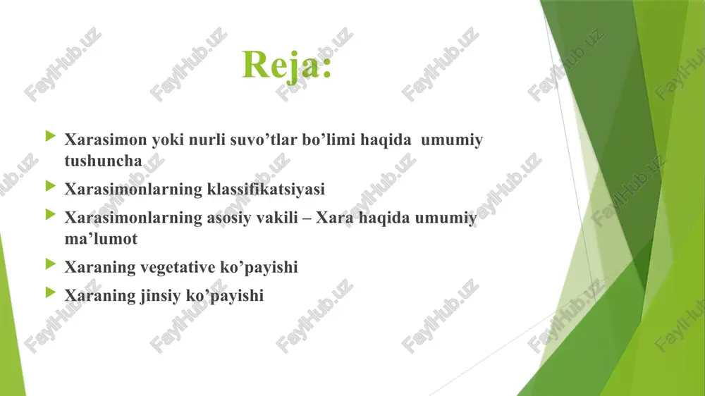 in yashil suvo’tlar yoki teng xivchinlilar sinfi matashuvchisimonlar xarasimonlar xarasimonlarning asosiy vakili – xara haqida umumiy ma’lumot xara suvo'tlari o'zining yuksak darajada tuzilganligi bilan boshqa suvo'tlaridan keskin farq qiladi. ularning tashqi tuzilishi qirqbo'g'imga o'xshab ketadi. mutovka shaklida shoxlangan bo'lib, bo'g'in va bo'g'in oraliqlarini hosil qiladi. hujayralari uzunligi jihatidan bo'g'in oralig'ini to'liq egalla -gan bo'lib, rangsizroq markaziy va uning ustida bir necha po'stloq hujayralari joylashgan. lekin xara suvo'tlarining ayrim vakillarida po'stloq hujayralar bo'lmaydi va bo'g'in oralig'i bir dona uzun hujayradan iborat bo'ladi (masalan, nitclla xarasimonlarning asosiy vakili – xara haqida umumiy ma’lumot bo'g'indan „to'pbarglar“ chiqqan bo'lib, uning orasida yon „shoxcha" shaklida o'sgan ayrimlari xaralarni shoxlanib o'sishga olib keladi. xara suvo'tlari odatda sekin oqadigan suvlarda yoki hovuz va suv ko'proq turib qoladigan ko'lmaklarda suvning ostki qismidagi quyqalarga rizoidlari yordamida yopishib o'sadi. xara tallomining ustki qismi ohakli tuzlarni shimib olganligi sababli mo'rt bo'ladi. hujayralari pirenoidsiz donachasimon xromatoforga ega. xara suvo'tlari maxsus kurtakchalar yordamida …