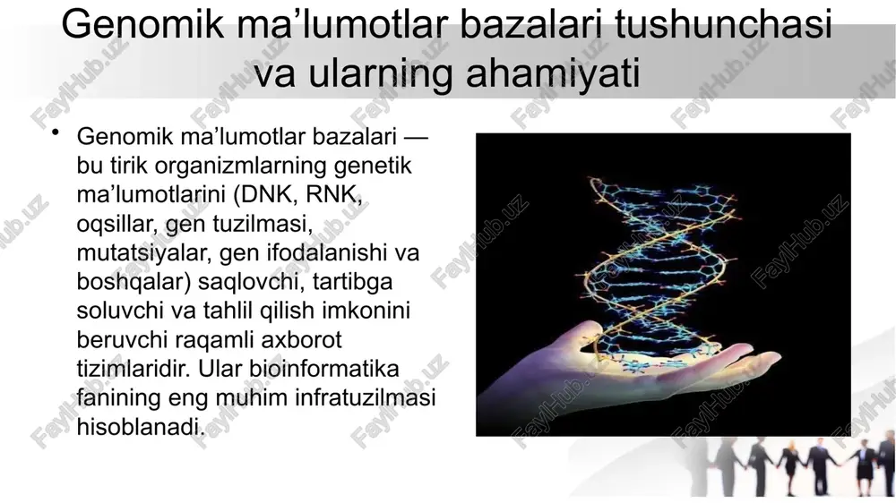 lar bazalari o‘z ichiga juda katta hajmdagi biologik axborotni olgani sababli, ularni tuzilishi, maqsadi va funksiyasiga ko‘ra turli toifalarga ajratish zarur. klassifikatsiya ularning ishlash tamoyillarini tushunish va to‘g‘ri foydalanish imkonini beradi. 1. ma’lumotlarning kelib chiqishiga ko‘ra: birlamchi (primary) ma’lumotlar bazalari bu bazalar tajriba yoki sekvenslash (dnk/rnk ketma-ketligini aniqlash) natijasida olingan xom (original) ma’lumotlarni saqlaydi. ularda har qanday qayta ishlov berilmagan, to‘liq ma’lumot joylashgan bo‘ladi. misollar: genbank (ncbi, aqsh) embl-ebi (yevropa) ddbj (yaponiya) ikkilamchi (secondary) ma’lumotlar bazalari bu bazalar birlamchi ma’lumotlarga biologik tahlil, izoh (annotatsiya) va tuzatishlar kiritilgan shaklini saqlaydi. ya’ni, bu bazalarda ma’lumotlar qayta ishlangan va tizimlashtirilgan bo‘ladi. misollar: refseq (ncbi) uniprotkb/swiss-prot (oqsillar bazasi) ensembl (genom annotatsiyasi) eng muhim xalqaro genomik ma’lumotlar bazalari va ularning xususiyatlari eng muhim xalqaro genomik ma’lumotlar bazalari va ularning xususiyatlari bugungi kunda genomik tadqiqotlarning samaradorligi asosan xalqaro miqyosdagi yirik ma’lumotlar bazalari faoliyatiga bog‘liq. bu bazalar o‘zaro hamkorlikda ishlaydi va global bioinformatika tarmog‘ini tashkil etadi. 1. …