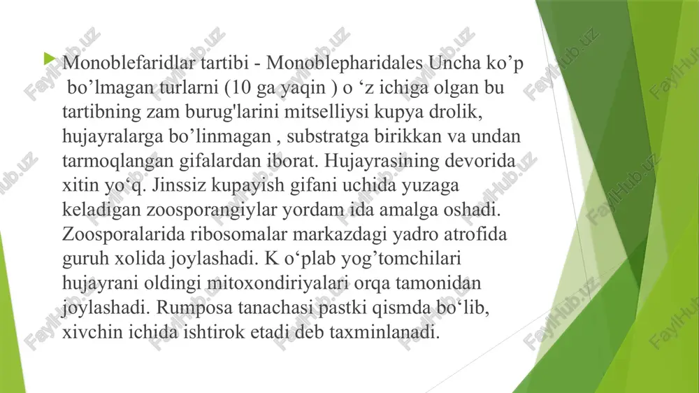 rglilar, gnetumlar va yopiqurug’lilarda yo‘q. xitridiomitsetlar va boshqa barcha zamburug’lar birlamchi xivchinsizlardan kelib chiqqan degan nuqtai nazar ham bor. foydalanilgan adabiyotlar ro’yxati planta-medica.uz uchebno-metodicheskiy kompleks po predmetu “lekarstvennie rasteniya uzbekistana” – namangan davlat universiteti biologiya “botanika”, 6 sinf maktab darsligi wikipedia.org google.com search engine e’tiboringiz uchun rahmat! image1.png image2.png image3.png image4.png /docprops/thumbnail.jpeg