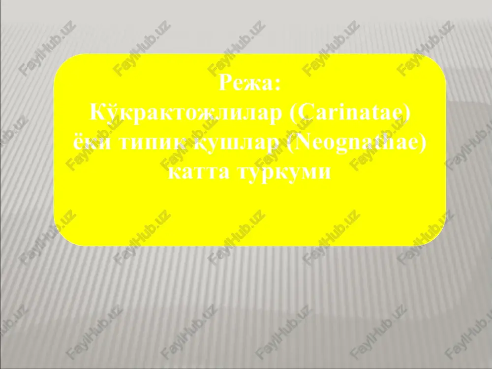 duruqlardan oqbovur (pterocles alchata), qorabovur (pterocles orientalis) va o'ziga xos tuzilgan suv buldurig'i (syrrhaptes paradoxus) tarqalgan. bulduruqlar (rterocletes) kenja turkumi qorabovur bu turkumga, asosan haqiqiy daraxtda yashovchi qushlar kiradi. kakkusimonlarni 2 ta, ya'ni kakkular va turakolar oilalari bor. kakkularning 130 ta turi bor, shulardan yarmi uya qurish va jo'ja ochish instinktini yo'qotgan, ya'ni boshqa qushlarning uyasiga parazitlik qiladi, yarmi esa monogam bo'lib, o'zlari uya quradi va tuxumlarini bosadi. kakkular (cucculidae) oilasidan 6 ta turi mdh da, shu jumladan 3 ta turi, ya'ni oddiy kakku (cuculus canorus), kar kakku (cuculus saturatus) va kichik kakku (cuculus policephalus) o'zbekistonda uchraydi. kakkusimonlar (cuculiformes) turkumi oddiy kakku yapaloqqushsimonlarning tumshug'i ilmoqdek pastga qayrilgan, barmoqlari o'tkir tirnoqli, patlari yumshoq, yuz qismida ham patlari bor. monogam, faqat urg'ochilari tuxum bosadi, jish bolali, jo'jalarini urg'ochisi va erkagi birga oziqlantiradi. yapaloqqushsimonlar turkumiga 140 ga yaqin tur kiradi. shulardan 20 ta turi mdh da, shu jumladan 10 ta turi o'zbekistonda uchraydi. …
