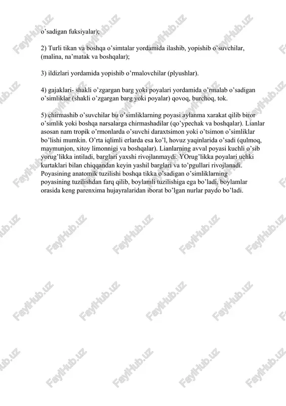rlab, o’rmalab o’sadigan o’simliklardir. soya sevar o’simliklar tez va kuchli o’sadi, poyalari ingichlashadi va kuchsiz yog’ochlanadi. bularni xammasi poyalarida xlorofillning yetishmaganligidan vujdga keladi . natijada poya va barglari och kul rang tusga kiradi. bunday poyalar o’zlarini tikka vertikal ushlab tura olmaydilar, nam yetarli bo’lganda bo’g’imlarida juda tez qo’shimcha ildizlar paydo bo’ladi. bunday o’simliklarda ko’p vaqtda poyalarni kuchli cho’zilishi natijasida barglari rivojlanmagan mo’rt stalonlarni hosil qiladi. qalin soya-salqin o’rmonlarida ayrimcha hayotiy shaklga ega bo’lgan lianlar (fransuzcha lier- bog’lash ) paydo bo’ladi. lianlar. lianlar er bag’irlab o’sadigan o’simliklarga nisbatan, atrofidagi daraxt, tosh va boshqalarga ilashib yorug’likka intilib o’sadi. shuning uchun ularni yana o’rmalovchilar ham deyiladi. o’rmalashiga qarab lianlar bir necha xil bo’ladi: 1) tayanib o’suvchilar (o’rmalovchi organlari bo’lmagan tropik zonalarda o’sadigan fuksiyalar); 2) turli tikan va boshqa o’simtalar yordamida ilashib, yopishib o’suvchilar, (malina, na’matak va boshqalar); 3) ildizlari yordamida yopishib o’rmalovchilar (plyushlar). 4) gajaklari- shakli o’zgargan barg yoki poyalari yordamida o’rmalab o’sadigan …