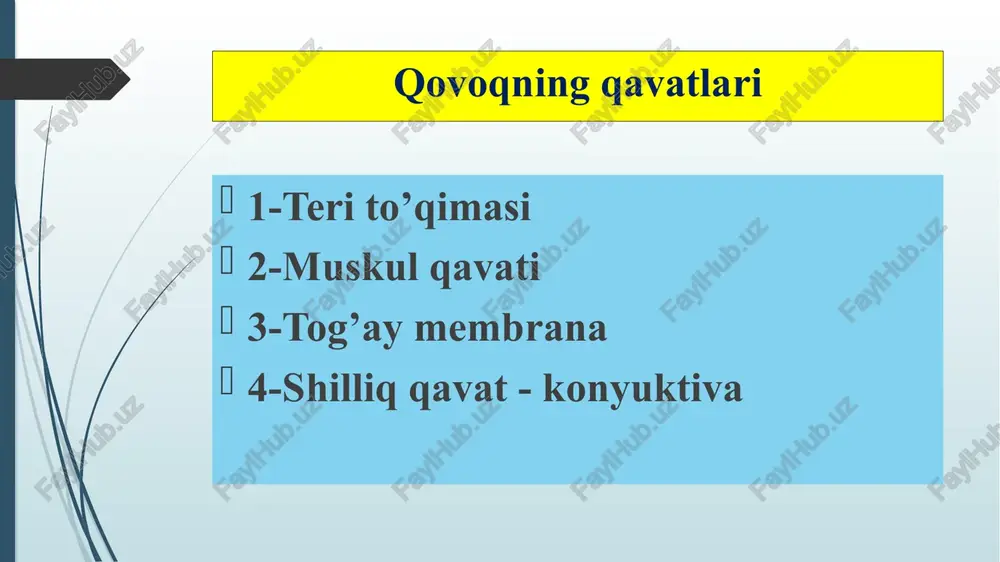 adi holos. yurak faoliyati buzulishi belgisi. allergik fonga ega – kvinke shishi govmijja(hordeoleum) qovoqlar kiprikli qirrasining terisi ostidagi yog’ bezchalarining yiringli yallig’lanishi. yuqori qovoqning muayyn nuqtasida cheklangan qizarish. avval yoqimsiz sezgi, keyin 20-24 soatdan keyin shish paydo bo’ladi.terisi taranglashadi, qizarish zo’rayadi, og’riq paydo bo’ladi, biroz osilib qoladi. 2-3 kundan keyin yiring paydo bo’ladi. o’rtasida nayzaga o’xshagan qattiq yiring paydo bo’ladi. 3-4 kunda o’zi yorilib ketadi. etiologiyasi organizm quvvatsizlik, surunkali kasalliklar(qandli diabed, kamqonlik, gastrit, gastroenterit, gepatit). avitaminoz, modda almashinuvining buzulishi. ko’z infeksiyalarining zo’rayib ketishi. davolash ko’zga dorilar(penicillin, albutsit, levomisetin) quruq isitish usullari – ko’k, qizil lampochkalar uvch, 3-4 kun davomida penicillin eritmasi va poroshogini tomizish attention ! meybomit qovoqning fibroz plastinkasi ichidagi bezlarning yiringli yallig’lanishi. yuqori qovoqning o’rtasida qip-qizil yallig’lanish sohasi hosil bo’ladi. juda kattalashib, og’riq beradi. 2-3 kundan keyin yoriladi.teri yoki shilliq qavat tomonidan yoriladi. ajralmasa jarrohlik usuli qo’llaniladi. occluded meibomian glands xalazion surunkali proliferativ yallig’lanish jarayoni. meybomiy bezlarini oqib …