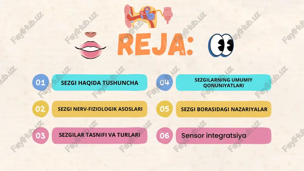 i qo’zg’atuvchining o’ziga aynan o’xshaydigan analizatorga ta'siri natijasida hosil bo’ladigan nerv jarayoni tashkil qiladi. shuningdek, sezgilarning nerv fiziologik asosini o’rganishda i.p.pavlov ta'biri bilan aytganda analizator apparati tashkil etadi. sezgilarning nerv - fiziologik asoslari i.p.pavlov (1849\ 1936).rus fiziologi, klassik konditsionerlik boʻyicha ishlari bilan mashhur 02 01 03 periferik (reseptor) - tashqi quvvatni nerv jarayoniga o’tkazadigan maxsus transformator qismi; analizatorning periferik bo’limining markaziy analizator bilan bog’laydigan yo’llarni ochadigan afferent (markazga intiluvchi) va efferent (markazdan qochuvchi) nervlar; analizatorning periferik bo’limlaridan keladigan nerv signallarining qayta ishlanishi sodir bo’ladigan qobiq osti va qobiq bo’limlari. analizator - tashqi va ichki muhitdan keladigan ta'sirotlarni qabul qilib olib, fiziologik jarayon bo’lgan qo’zg’alishni psixik jarayonga, ya'ni sezgilarga aylantiruvchi nerv mexanizmlari tizimi. analizator apparati 3 qismdan tashkil topgan bo’lib, ular quyidagilardan iborat: jahon psixologiyasi fanining so’nggi yutuqlari hamda atamalariga binoan sezgilar quyidagicha klassifikasiya qilinadi. ushbu tasniflanishning dastlabki ko’rinishi ingliz olimi ch.sherringtonga taalluqlidir. u reseptorning qaerda joylashganligiga qarab, sezgilarni uch turga …