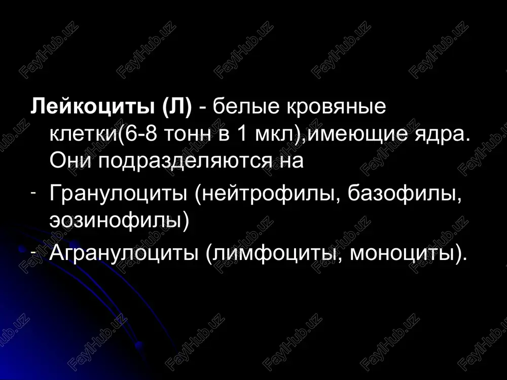 (1%) malochislenni, produtsiruyut gistamin, geparin, i uvelichivayutsya v zaklyuchitelnoy stadii ostrogo vospaleniya, chto svidetelstvuet o vizdorovlenii. agranulotsiti (40%) - eto limfotsiti i monotsiti. obrazuyutsya v limfouzlax, mindalinax, peyerovix blyashkax, selezenke, vilochkovoy jeleze, kostnom mozge. monotsiti (mononuklearnaya sistema) vklyuchaet v sebya mnogochislennie fagotsiti i vipolnyayut funktsii : sekretornuyu, fagotsitoz, tsitotoksicheskaya rezorbtsiya, proliferatsiya, gemokoagulyatsiya, fibrinoliz, obmen, spets. immunitet. limfotsiti (30%;1012 ; 1,5 kg.) jivut - 2 dnya - 20 i bolee let, predstavlyayut tsentralnoe zveno immunnoy sistemi. oni tolko razlichayut «svoe» i «chujoe». razlichayut 3gr limfotsitov : t - limfotsiti (70%) killeri - «ubiytsi» supressori - blokiruyut «v»l immunnaya pamyat amplifayeri - aktivir. killeri. 2) v - limfotsiti (25%) sozdanie gumoralnogo immuniteta spetsifichni 3) «o» limfotsiti (15%) - perexodyat v t i v limfotsiti. gruppi krovi otkriti v 1901g. landshteynerom, za chto on v 1930g. bil udostoen nobelevskoy premiy. otkriti okolo 250 grupp antigenov-eritrotsitov i chastichno leykotsitov, trombotsitov, kletok tkaney. sushestvuyut okolo …