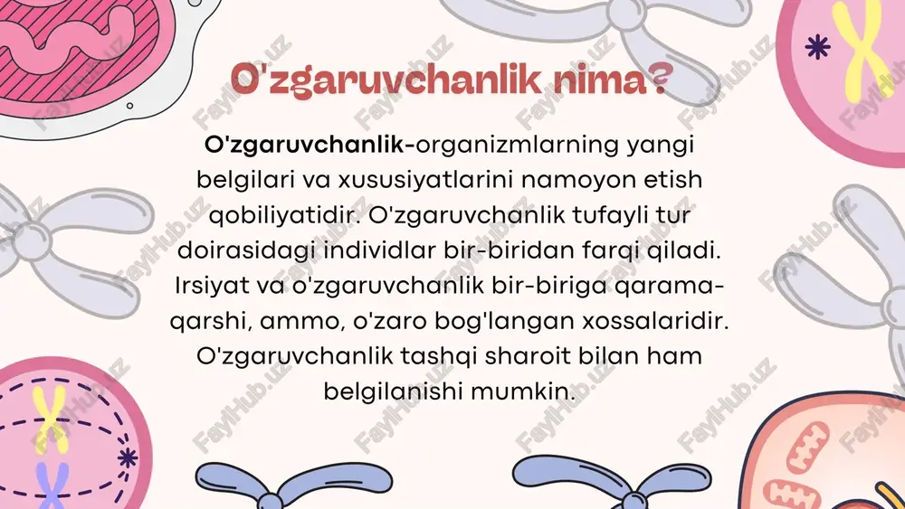 kimyoviy omillar ta'sirida hosil qilinadi) turlarga bo'liandi. paydo bo'lgan joyiga ko'ra: jinsiy hujayralarda ro'yobga chiqadi. jinsiy ko'payganda mutatsiya keyingi avlodlarda namoyon bo'ladi generativ: somatik: tana hujayralarda ro'yobga chiqadi. jinsiy ko'payganga mutatsiya keyingi avlodlarga berilmaydi fenotipda namoyon bo'lishiga ko'ra: hayotchanlikka ko'rsatgan ta'siriga qarab:- morfologik - fiziologik - biokimyoviy - letal - yarim letal - neytral - foydali irsiyatning moddiy asoslarini o'zgarishiga qarab gen mutatsiyasi - molekulyar darajada ro'y beradi, hatto elektron mikroskopda ham ko'rib bo'lmaydi. ko'p hollarda fenotipda yangi belgilarni rivojlantiradi. (u 2 ga bo'linadi: retsessiv (aa holda fenotipda ko'zga tashlanadi) va dominant (aa, aa holatda namoyon bo'ladi)). har bir biologic tur boshqa turlardan xromosonalarining soni, shakli, hajmi, tuzilishi bilan farqlanadi va xromosoma mutatsiyasi shular bilan bog'liq bo'ladi. (turlari: yo'qolib qolish, deletsiya, dublikatsiya, inversiya va translokatsiya) gen xromosoma genom xromosomalarning sonini o'zgarishiga bog'liq o'zgarishlardir. ular 2 xil: gaploidiya (genomning butunligicha kamayishi) yoki polipodiya (ko'payishi) va ayrim xromosonalar sonining o'zgarishlari (aneuploidiya yoki …