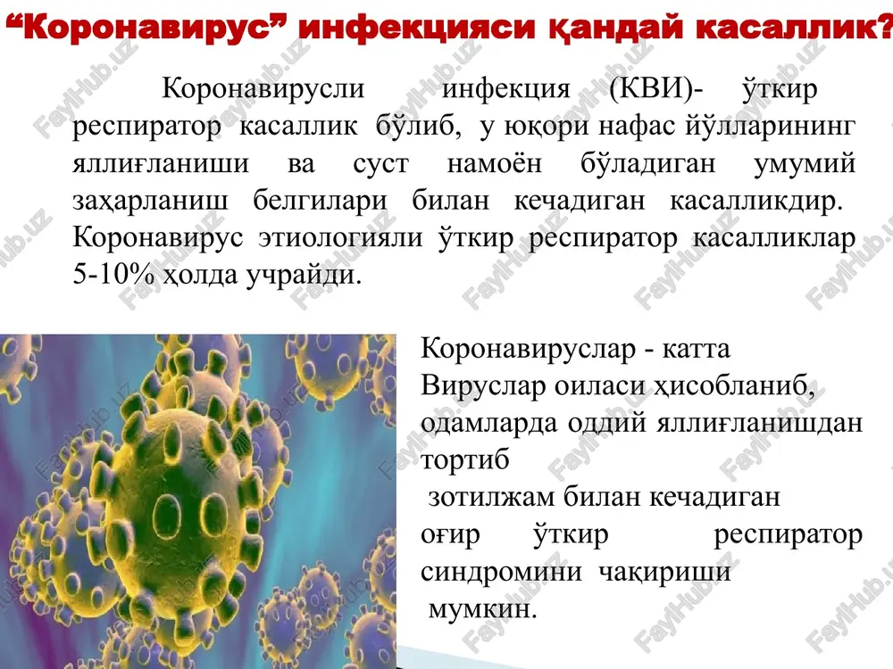 asida kuzatilgan. barcha holatlarda infektsiya bemor bilan yaqin muloqotda bo'lgan shaxslarda kuzatilgan. kasallik er yuzida keng tarqalgan bo'lib katta yoshdagi insonlarning 80% ida virusga qarshi antitelaning borligi aniqlangan. mavsumga qarab koronavirus infektsiyasi barcha yuqori nafas yo'llari kasalliklarining 10-35% ini tashkil qiladi. koronavirus infektsiyasi kuzning oxiri, qish va bahorning boshlarida (rinovirusli infektsiya kam uchraganda) ko'p uchraydi. epidemiologiyasi kasallik klinikasi virus yuqqandan so'ng 2-4 kun o'tgandan keyin namoyon bo'ladi. kasallik o'tkir, tana haroratining oshishi, yaqqol rivojlanmagan umumiy zaharlanish belgilari bilan boshlanadi. shuningdek, bolalarda nafas olganda ko'krak qafasida og'riq, yo'tal, quruq hushtaksimon xirillashlar eshitiladi. klinik kechishi koronavirus infektsiyasi o'tkir pnevmoniya bilan asoratlanishi mumkin. ko'krak qafasi rentgenografiyasida o'choqli yoki interstitsial infiltratlar aniqlanadi. og'ir hollarda nafas olish a'zolari faoliyati yomonlashib, ikkinchi haftada kasallik respirator distress-sindrom rivojlanishi, kattalarda bu turli a'zolar disfunktsiyasi bilan kuzatilishi mumkin. ba'zan bo'yin limfa tugunlari kattalashadi. guruhli kasallanish, asosan bir oila vakillari yoki bolalar orasida; mavsumiylik– qish va bahor fasllari; yashirin davri- …